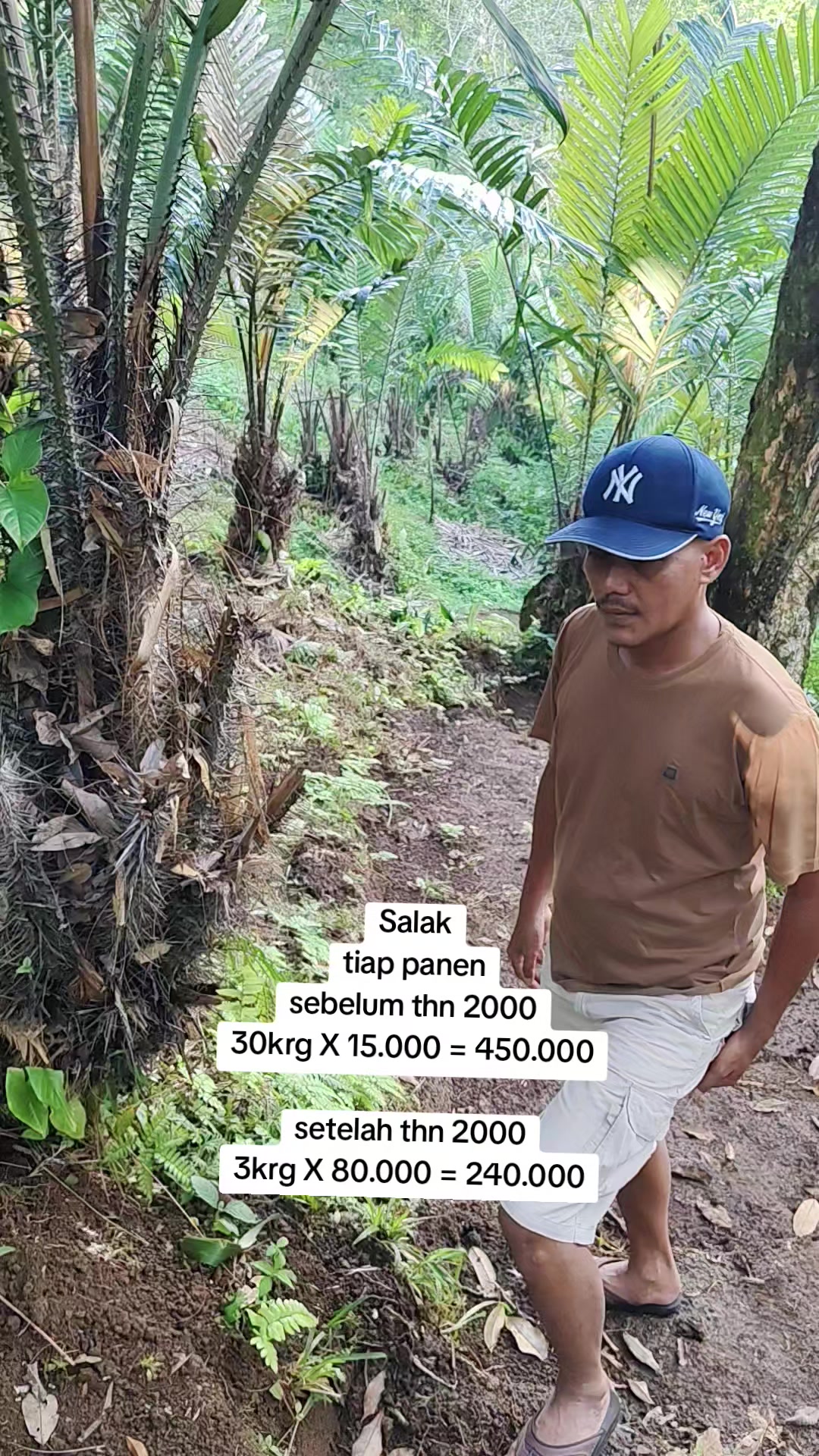 @petani kecil ujung tapsel