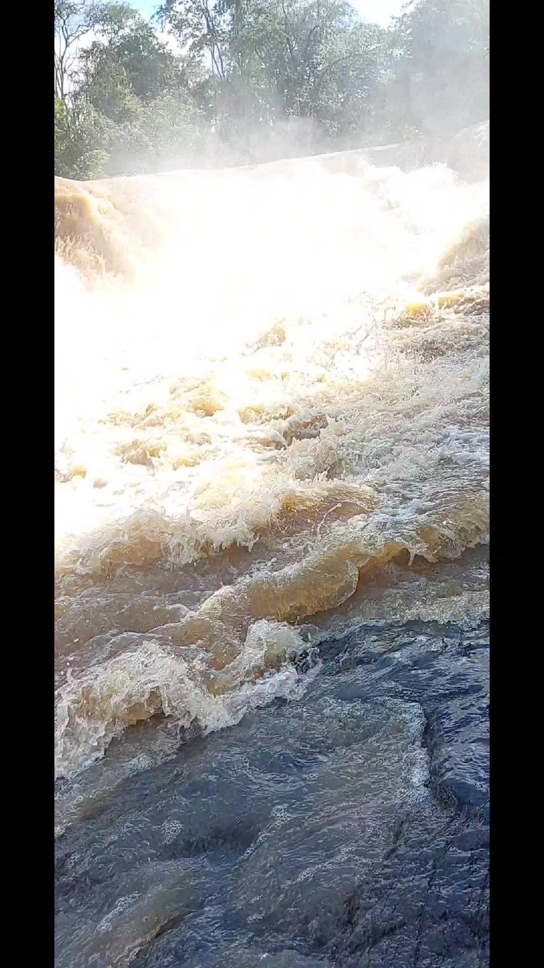 @Mara de Jesus