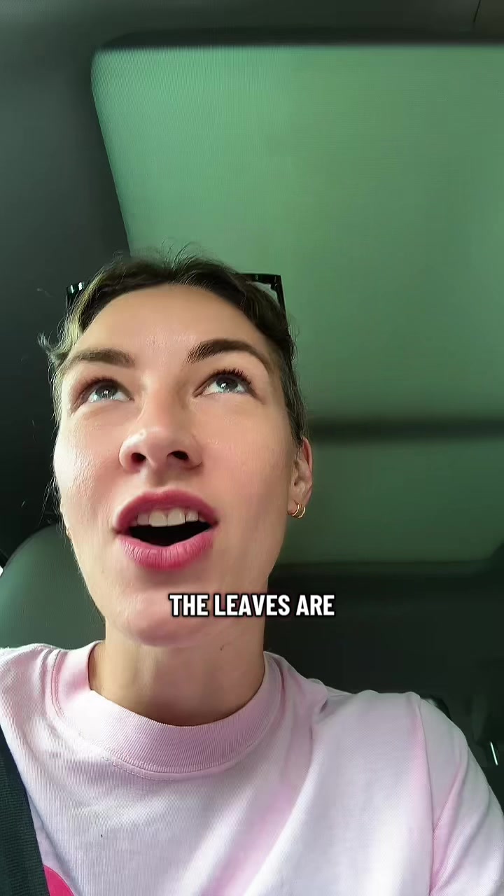 @THE TALL GIRL NEXT DOOR