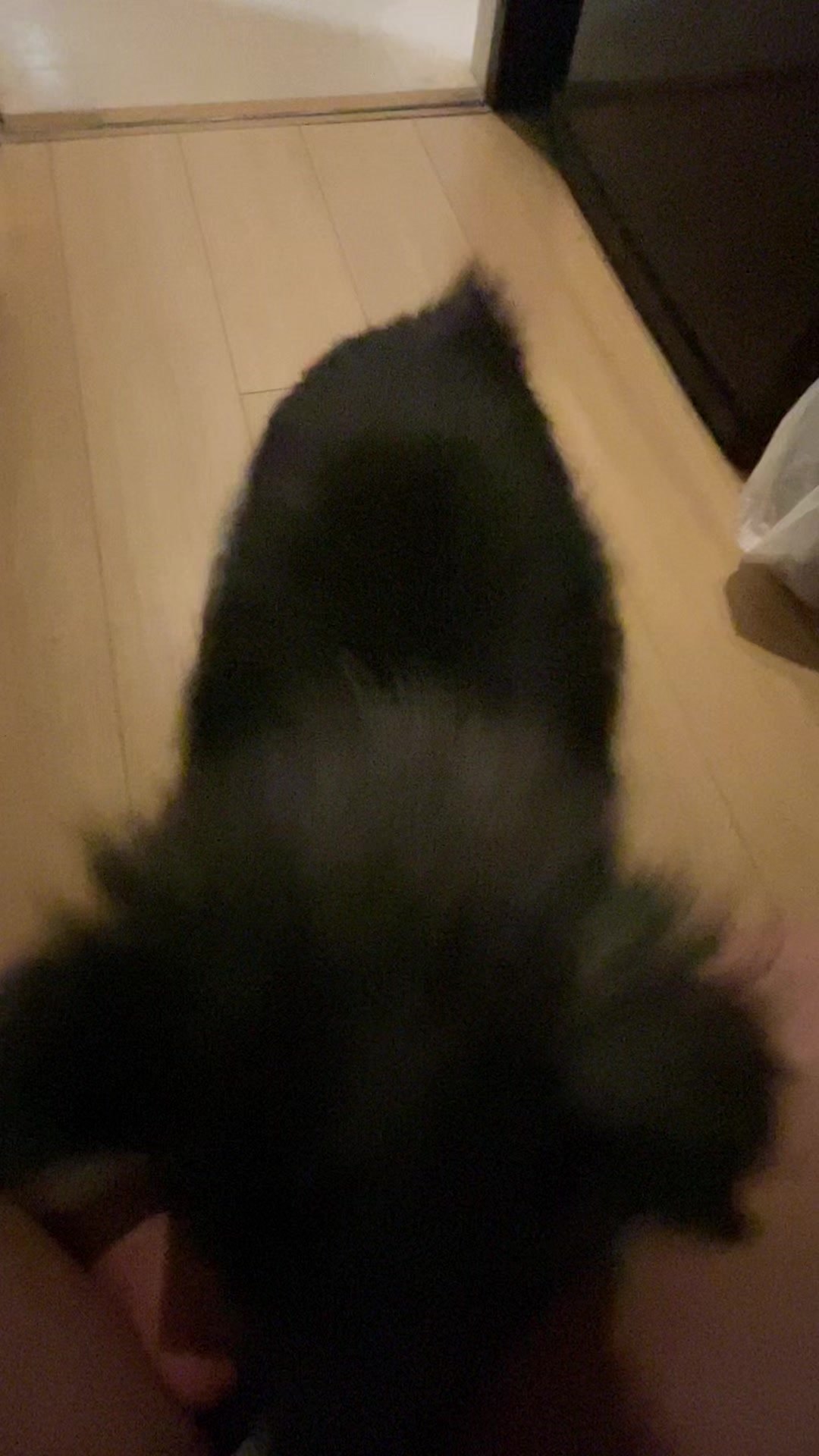 @❤︎