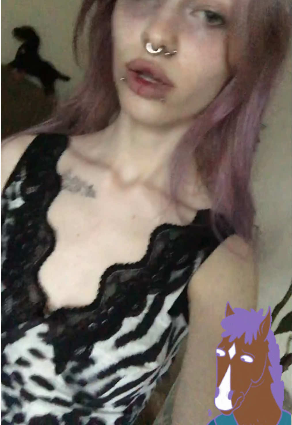 @mahaebala