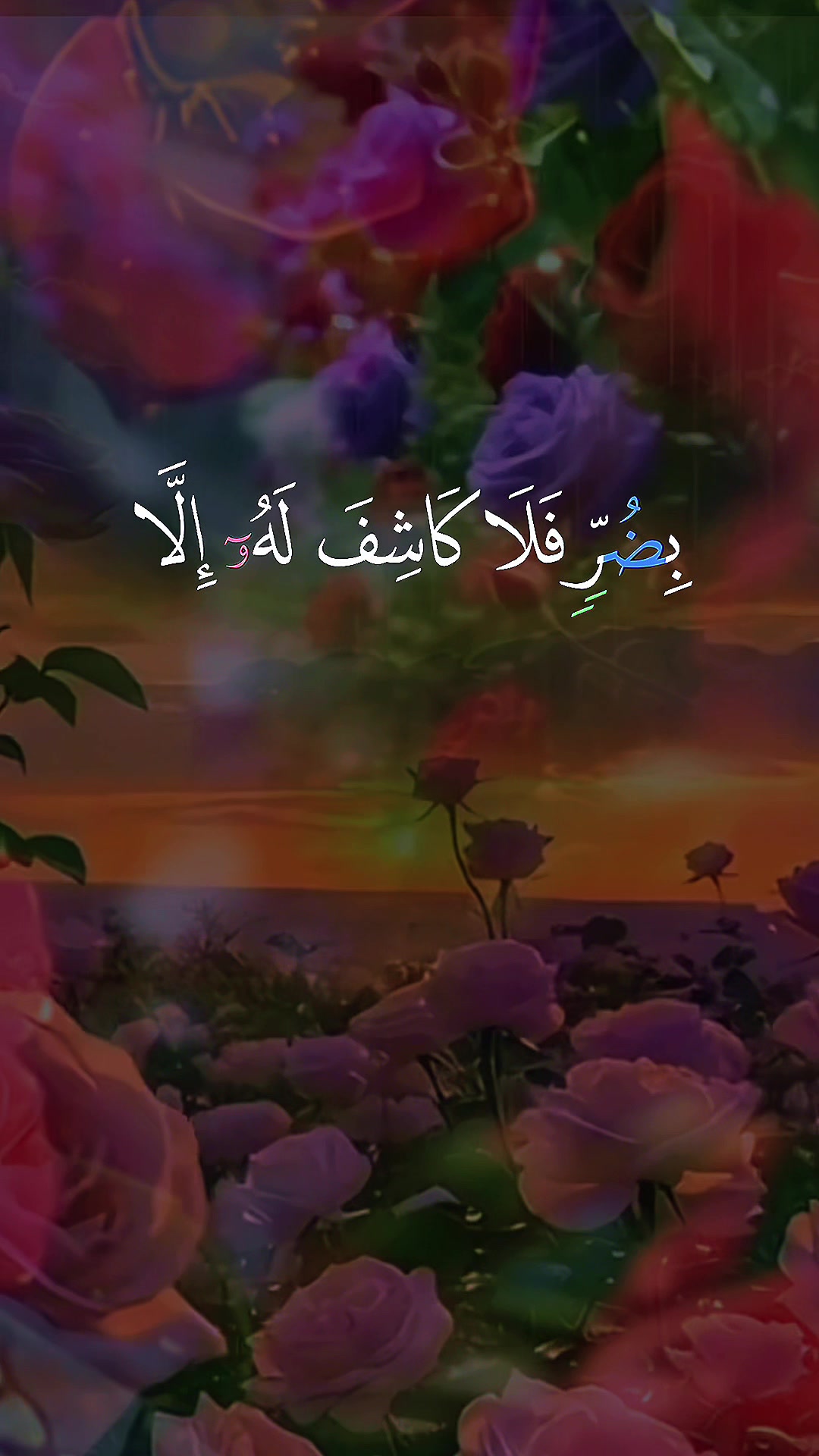 @Om MARAM