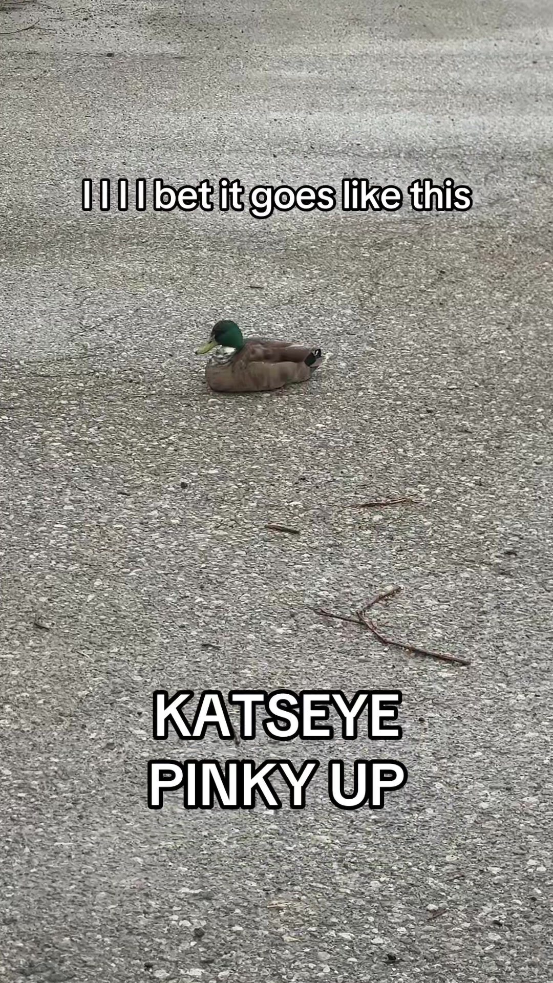 @unapolygetic