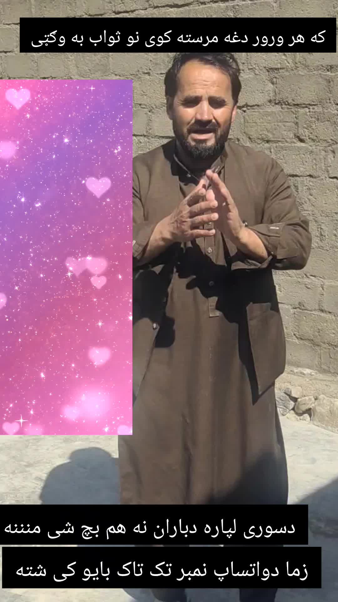 @majahidniazai