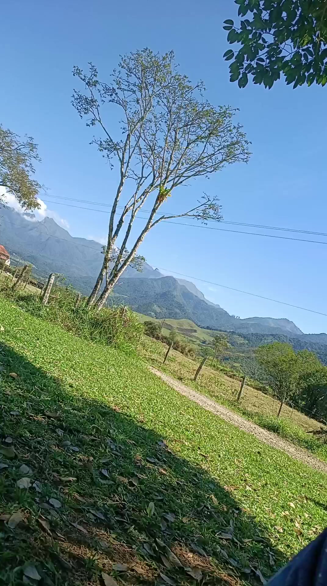 @Renato