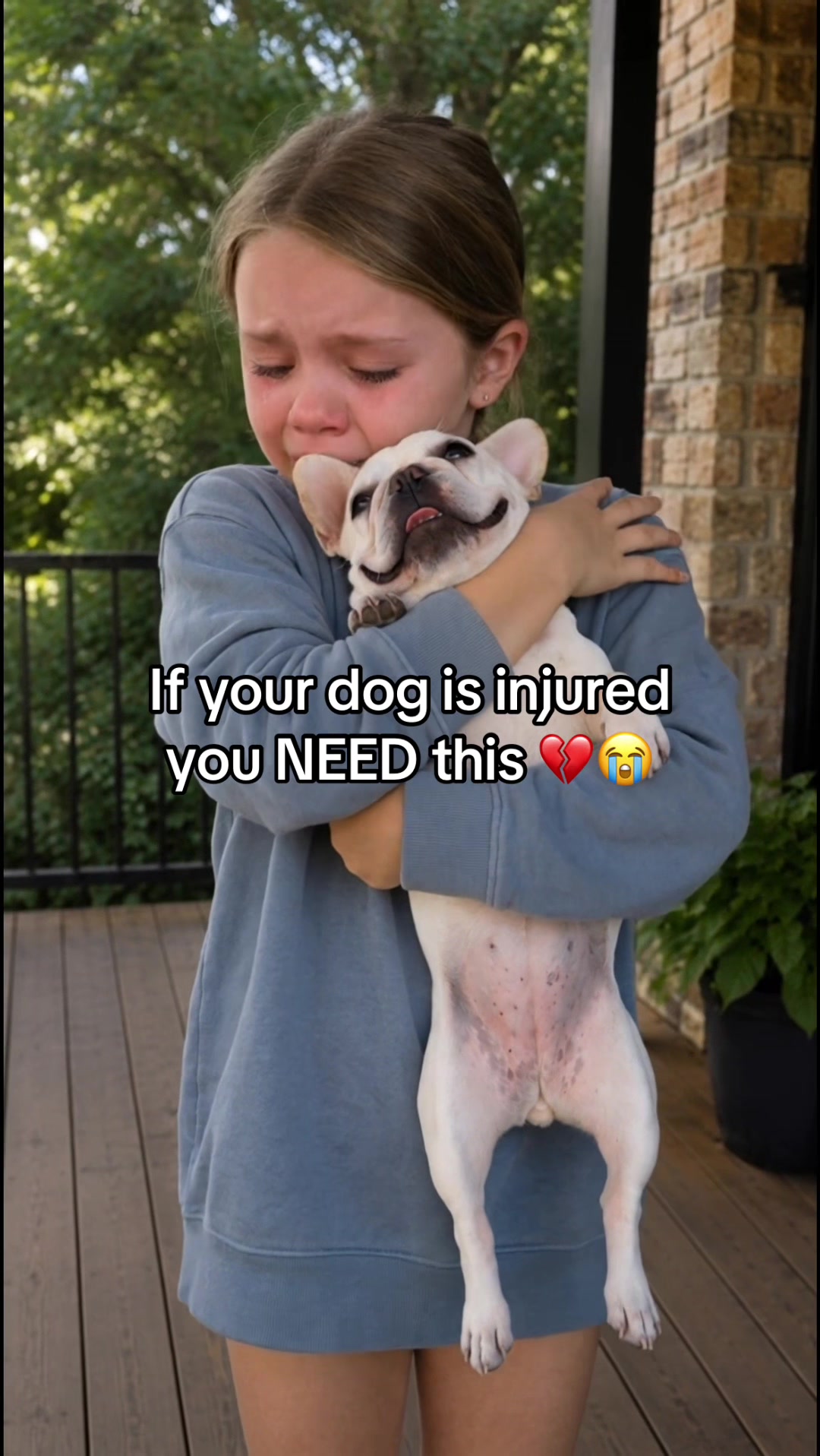 @SavlahPets