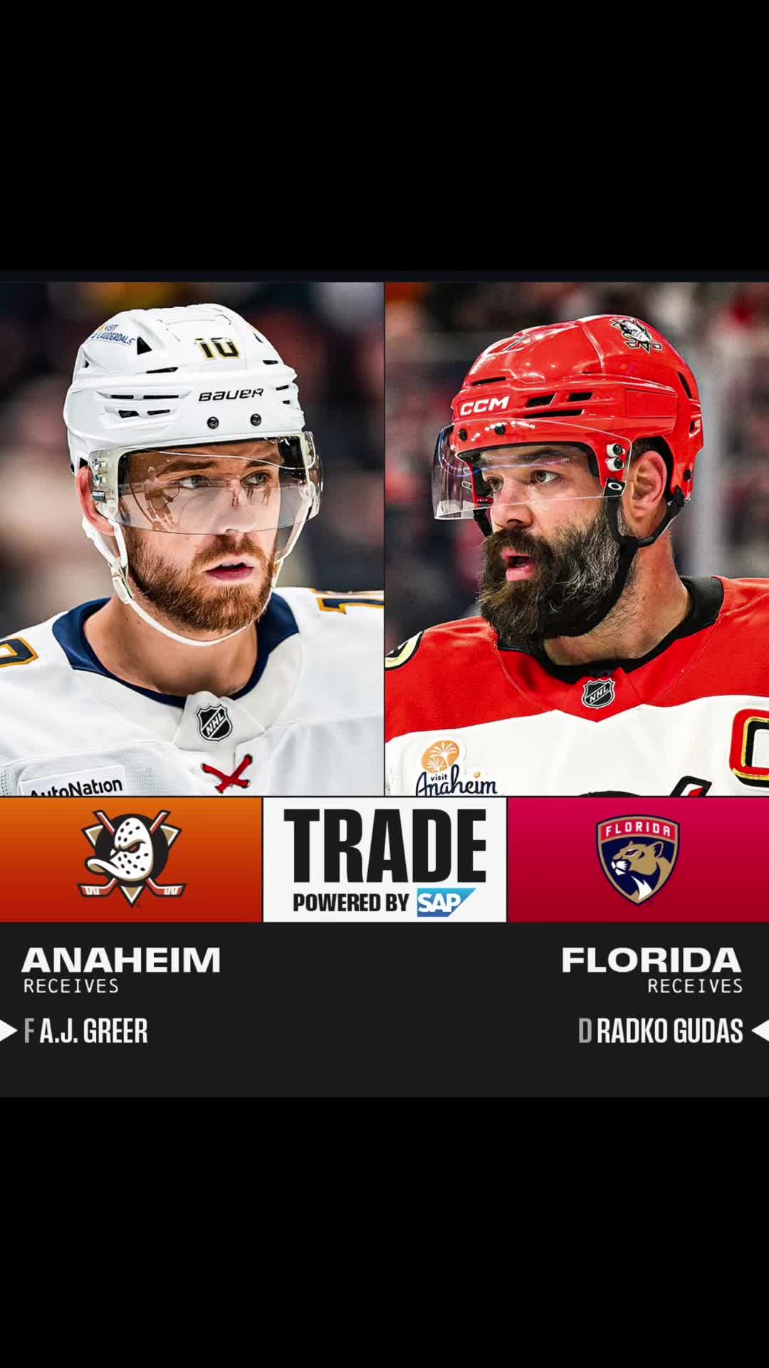 @Ducks world Order