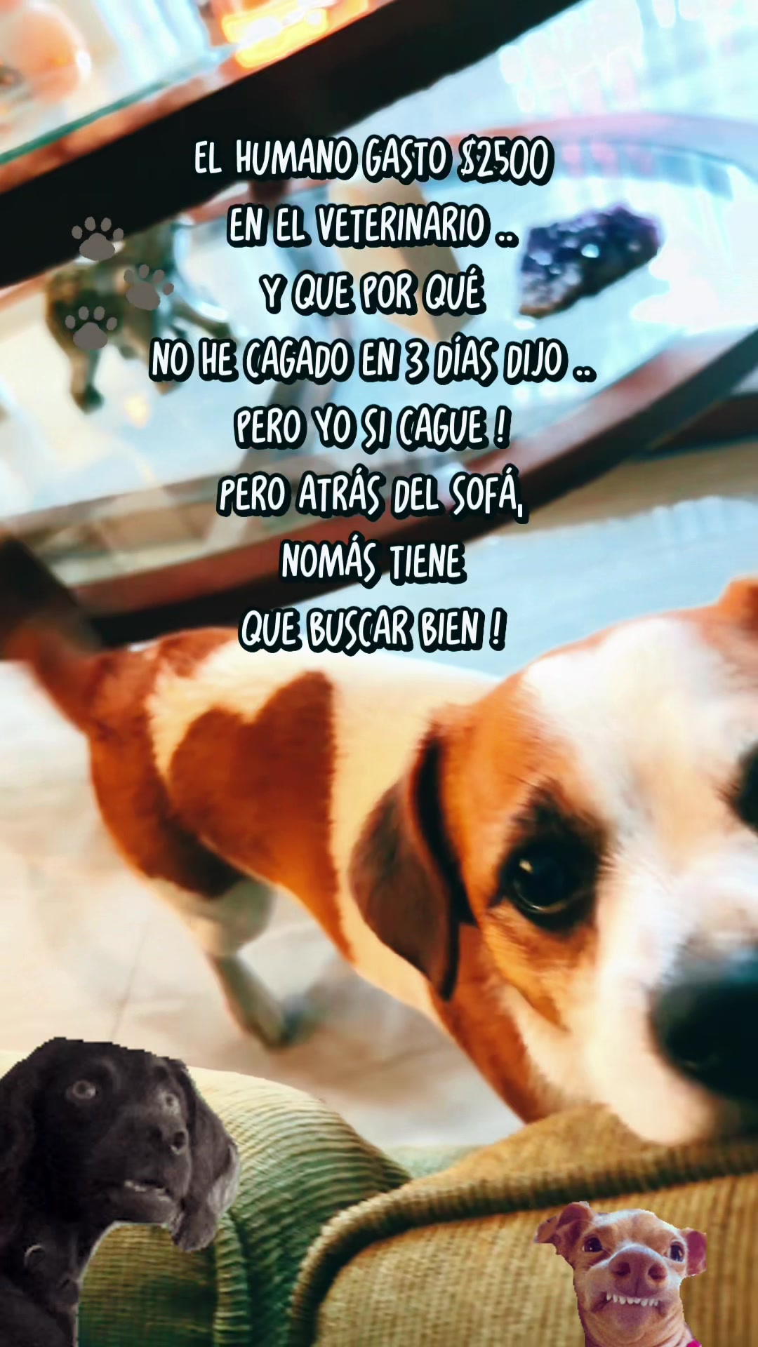 @Alvarin