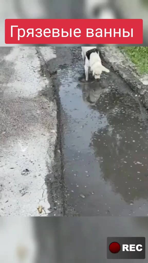 @Лариса