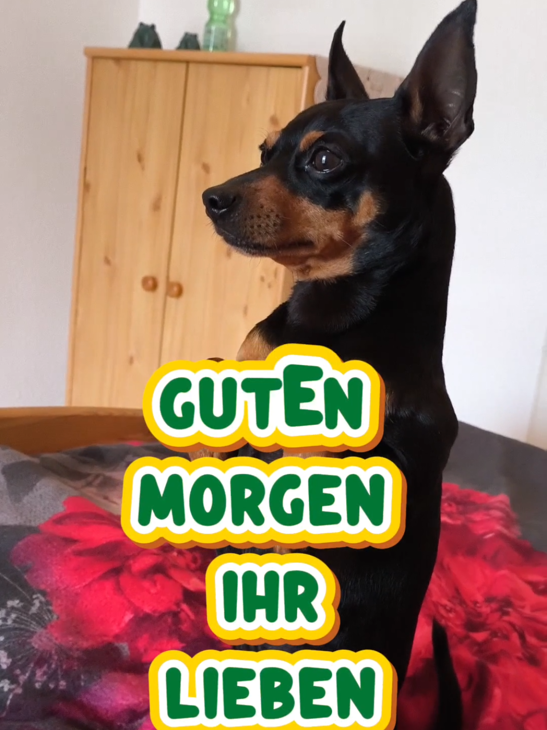 @ICH BIN'S