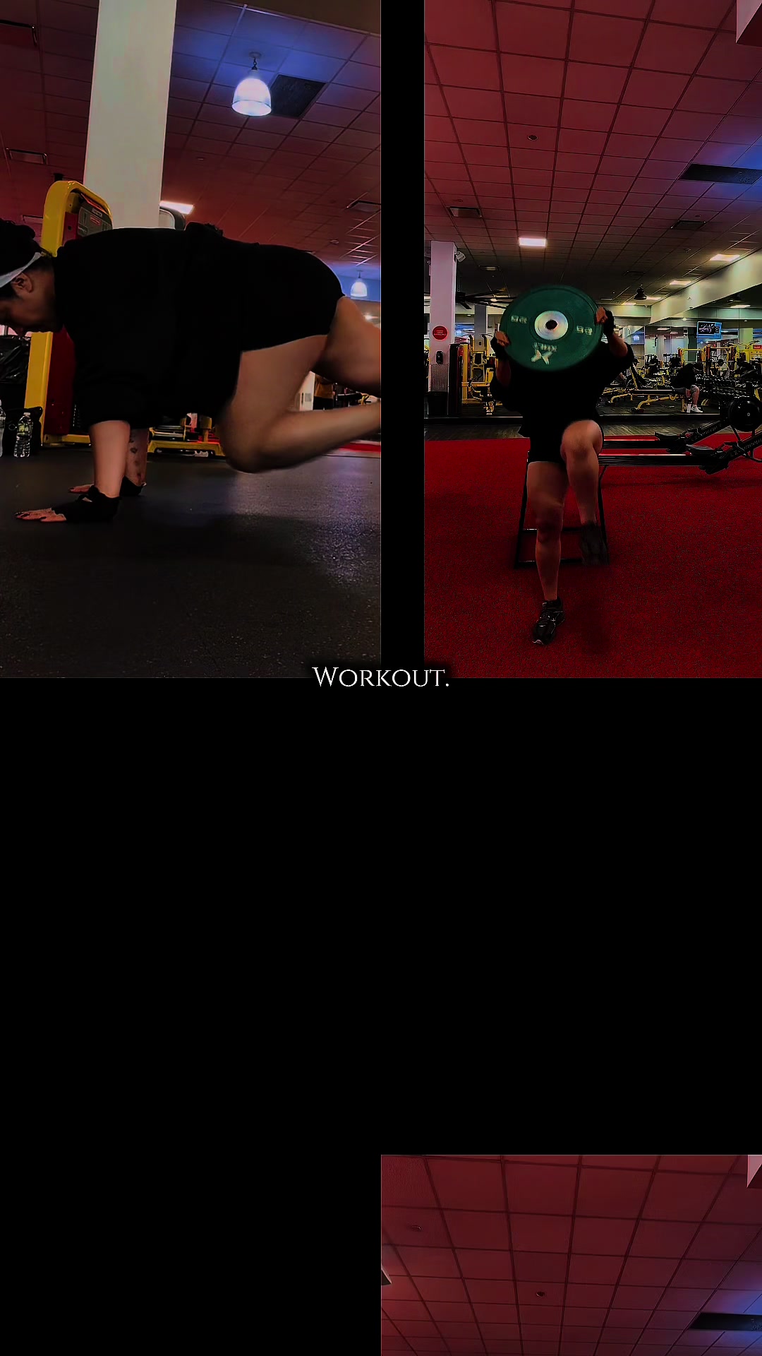 @Stefania Cedeño