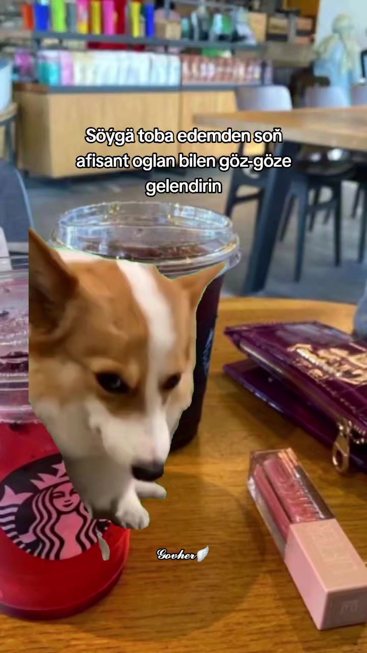 @𝓖𝓸𝓿𝓱𝓮𝓻🪽
