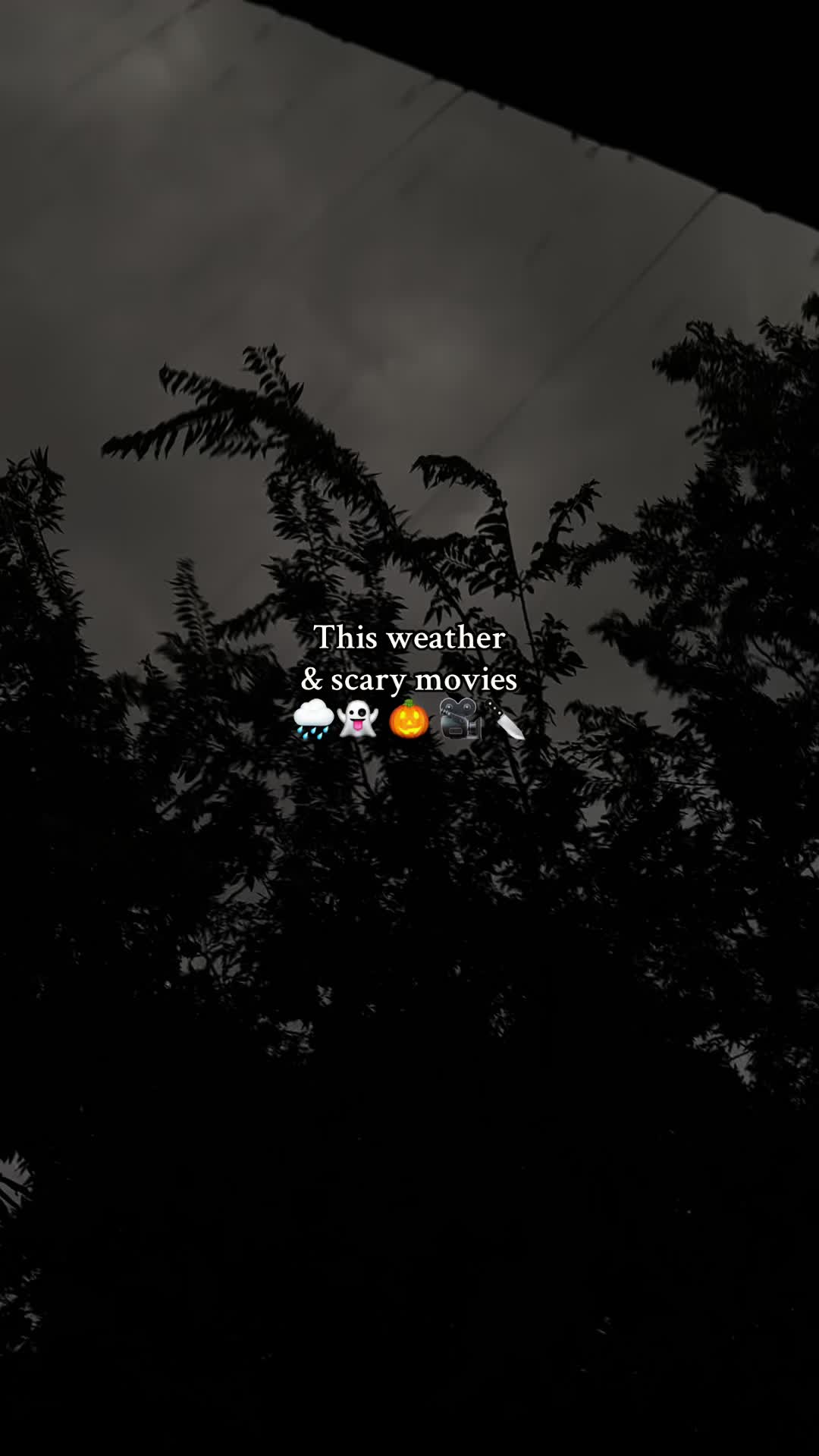 @๐๐ช๐ท๐ช๐ท๐ช๐ช ๐๐ค๐