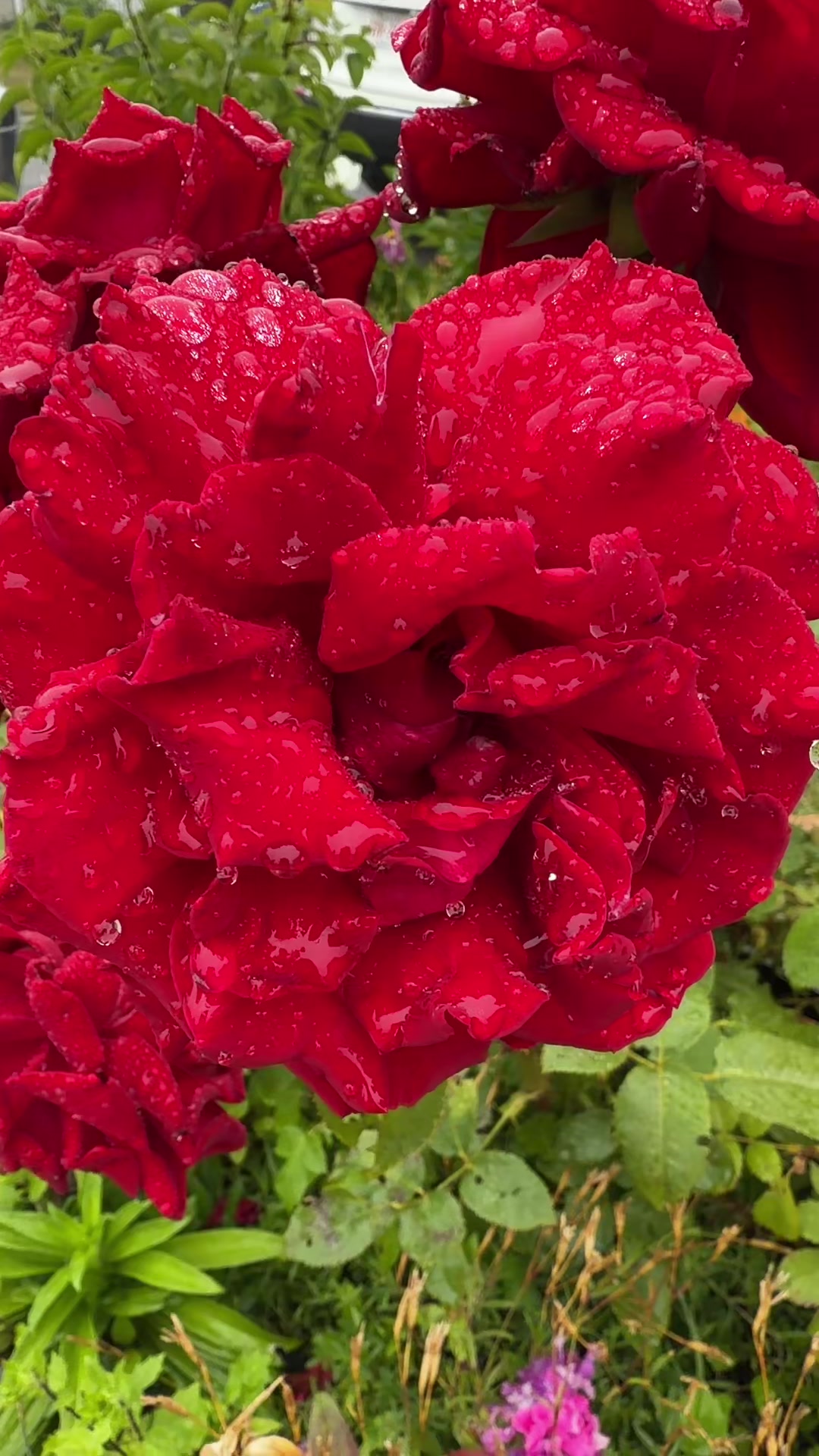 @deep 777