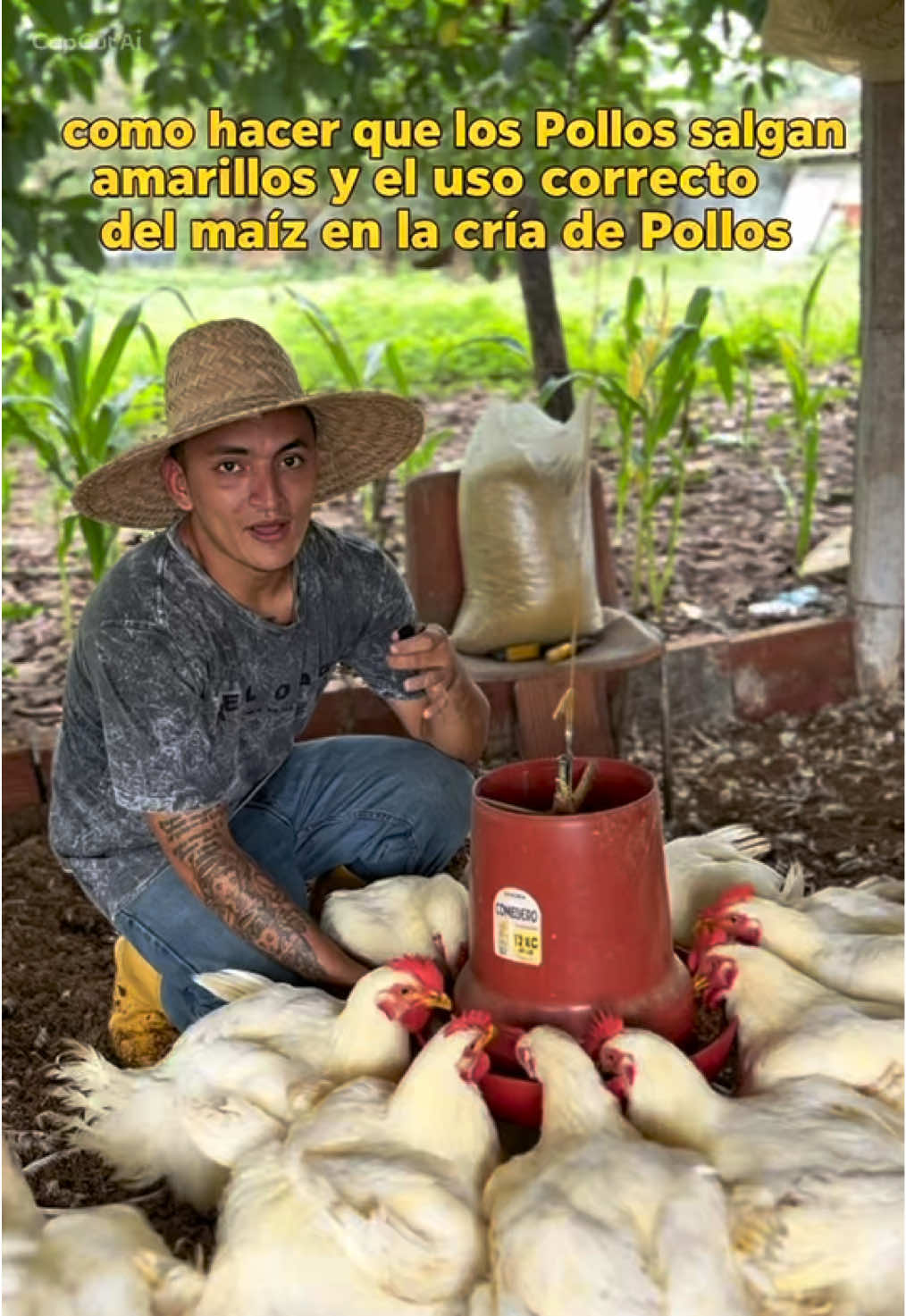 @elmagnatedelospollos