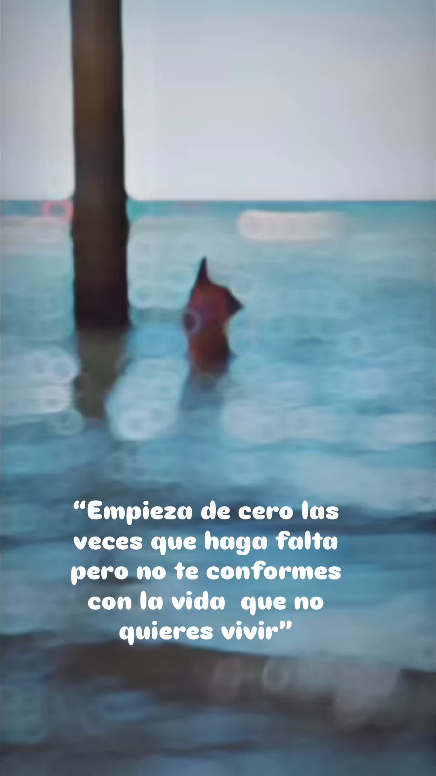 @Reddotlalokita