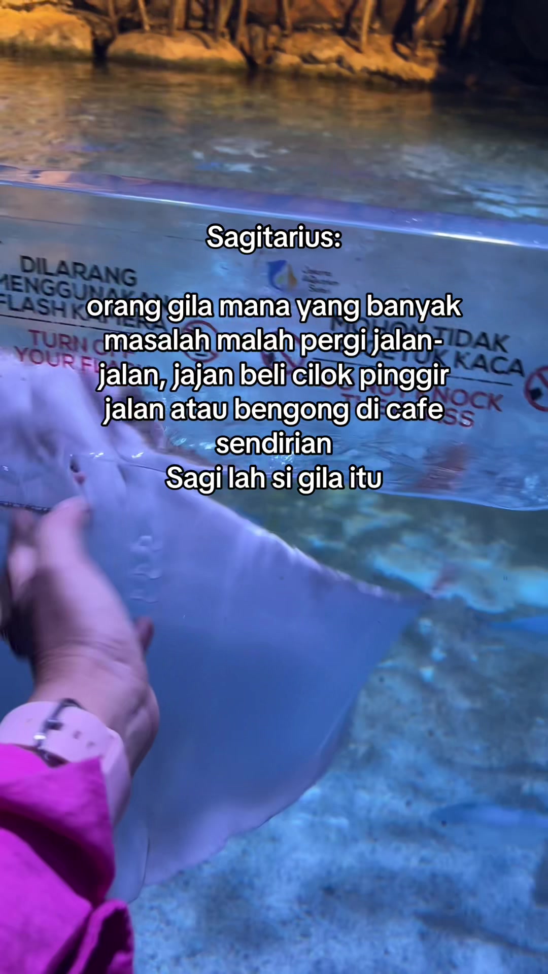 @Your Zodiak Mate