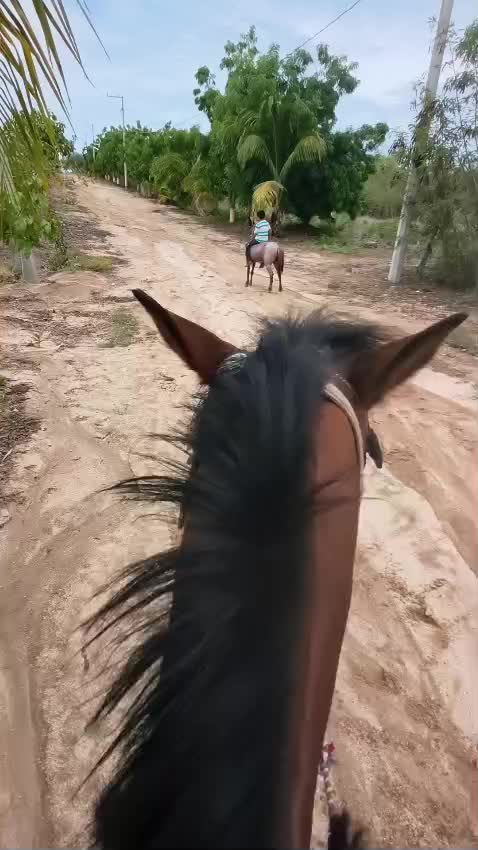 @Escuadrón de la muerte