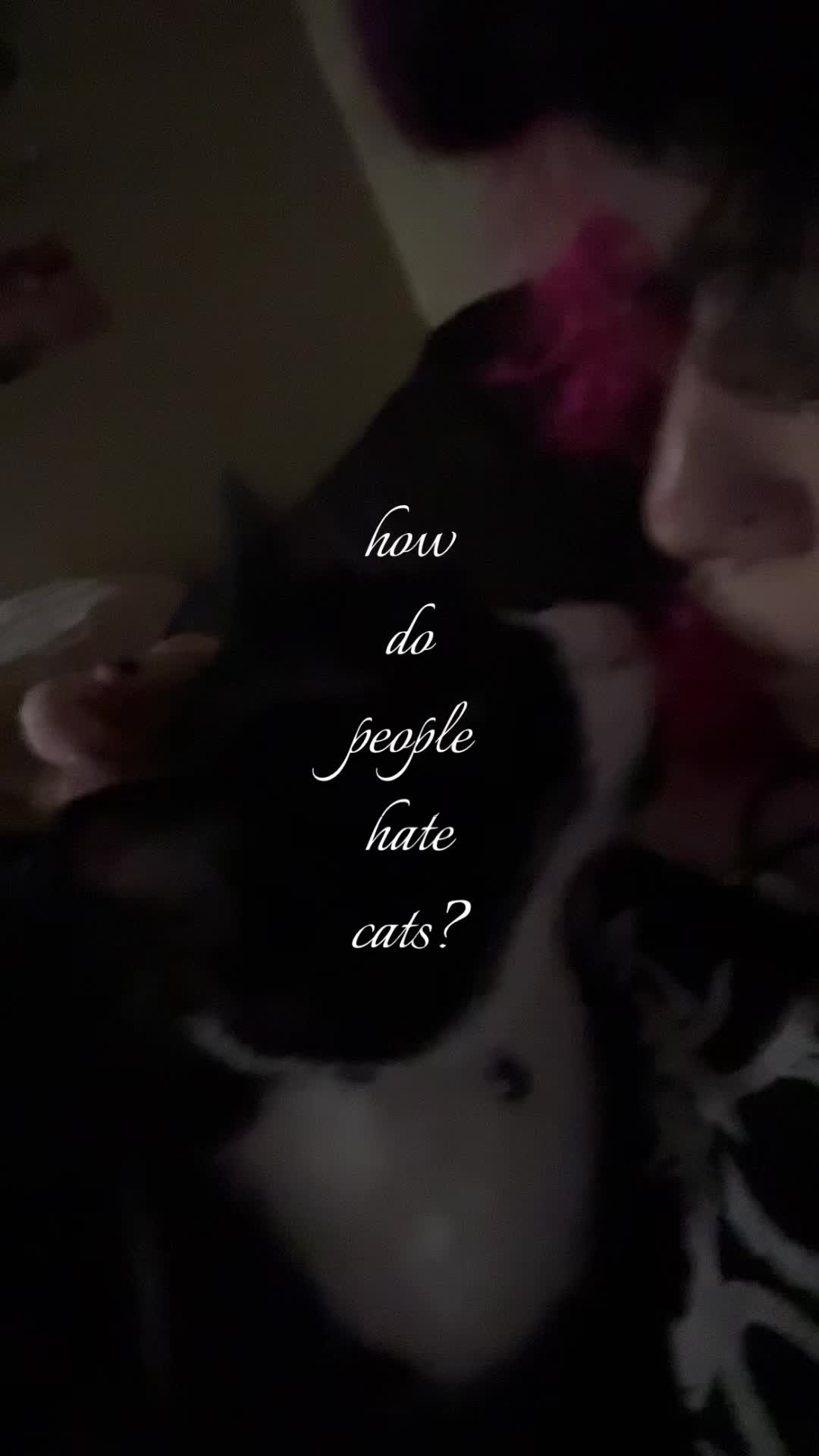 @lexii (cals kitty :3) =^&bull;u&bull;^=