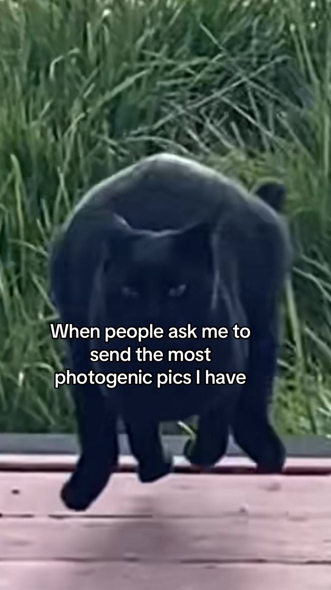 @Michie