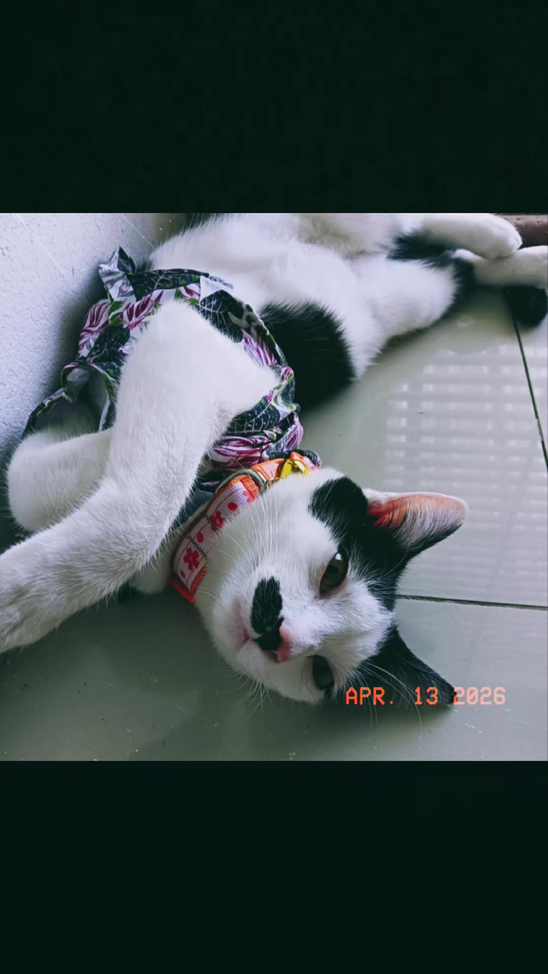 @มังคุด
