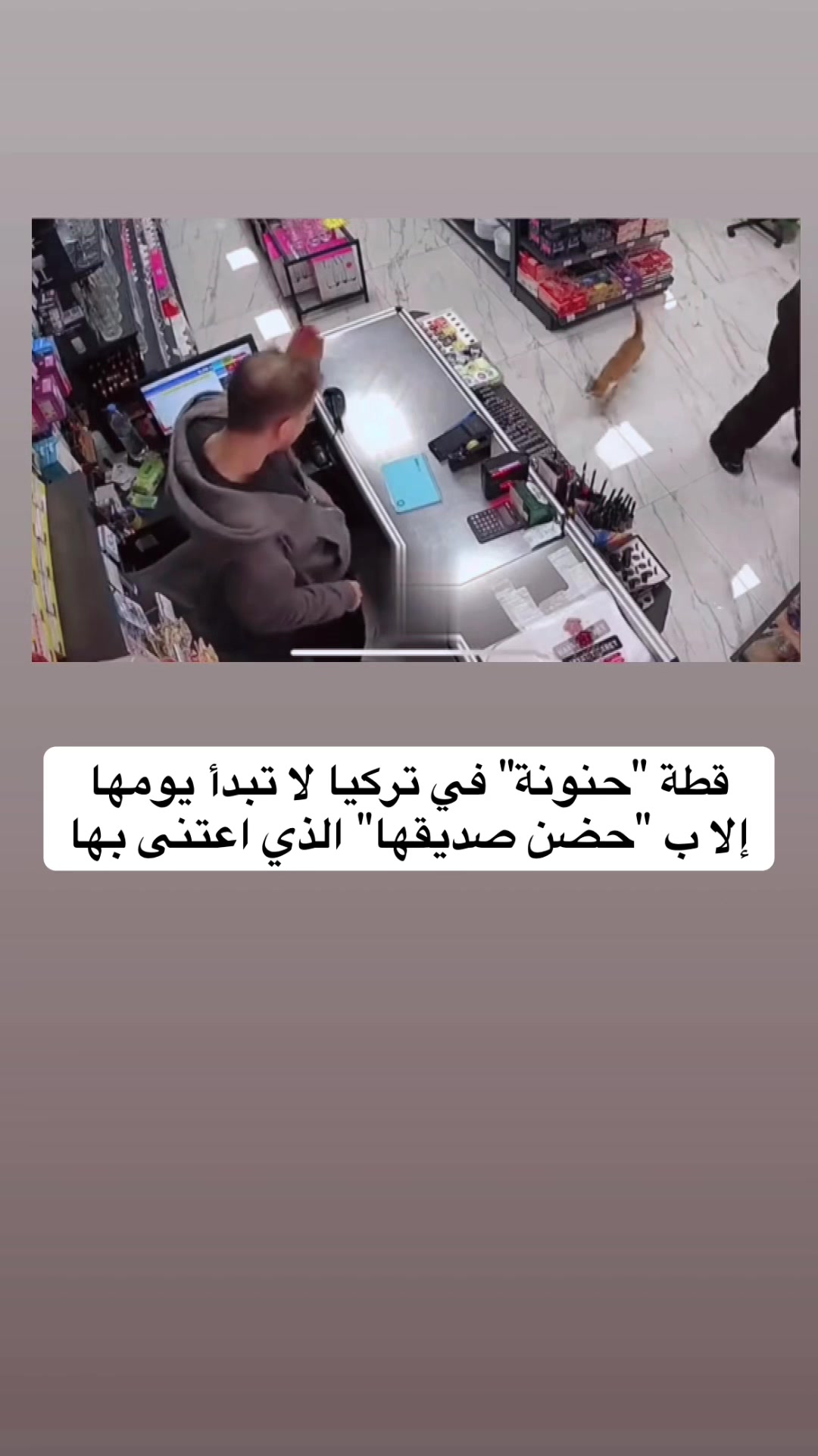 @قصص وغرائب ✍️🇸🇦