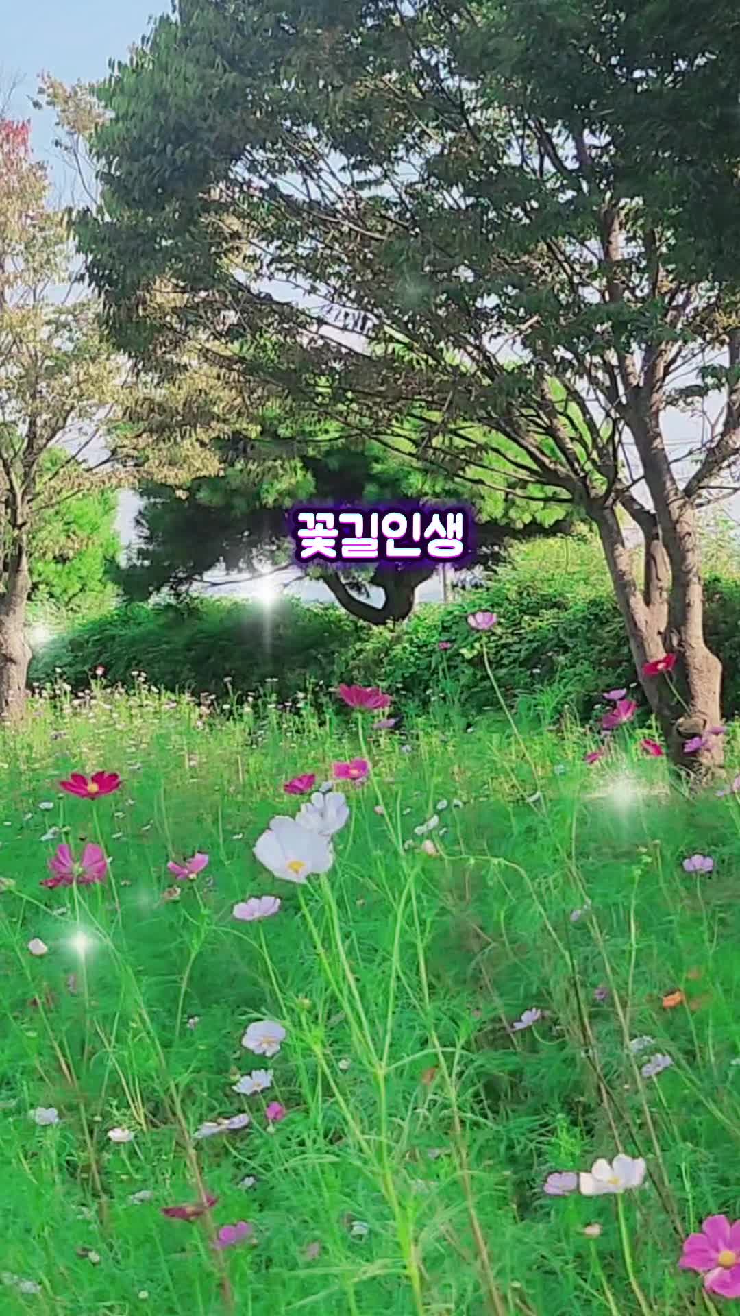 @뽀미