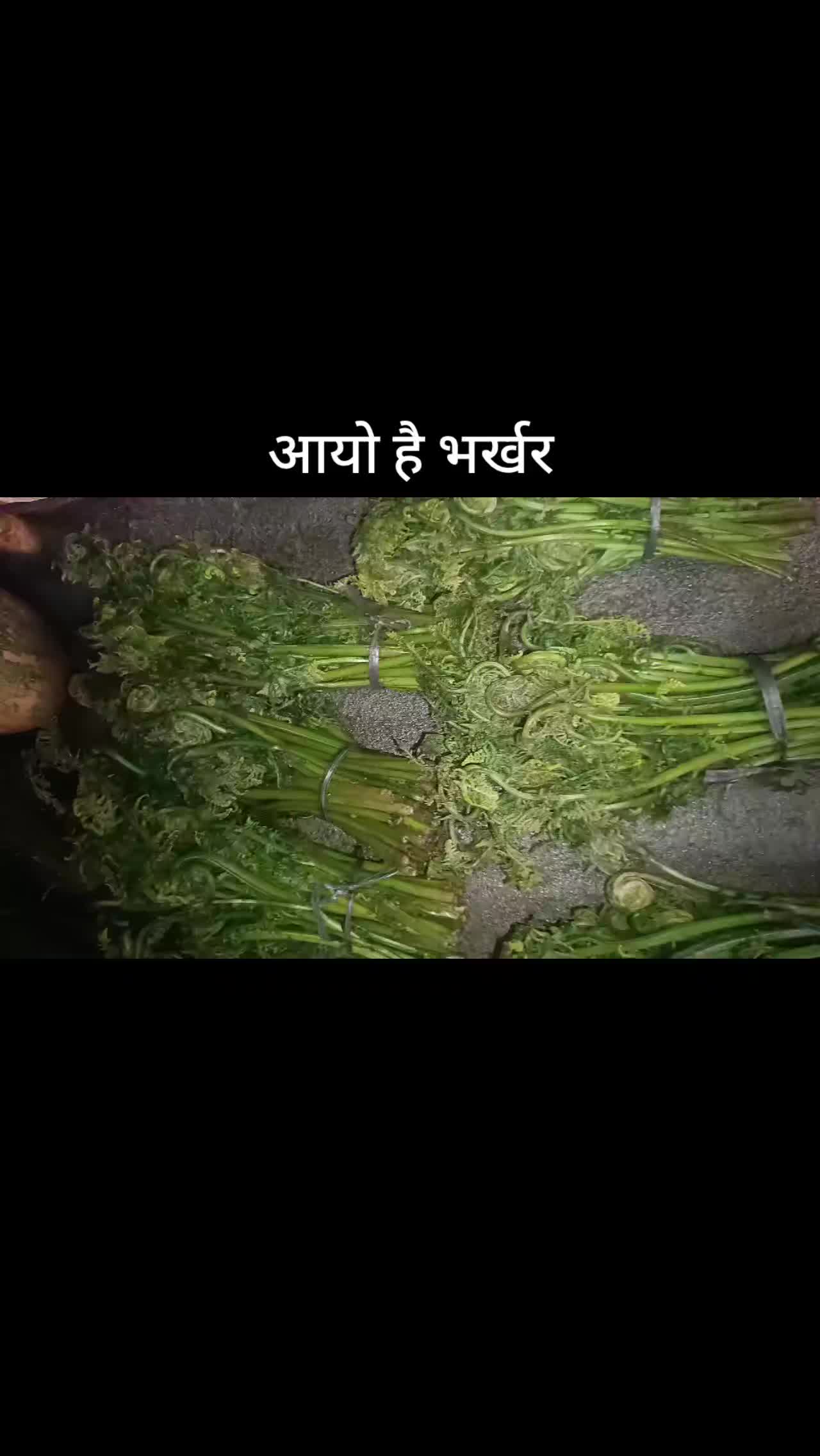 @prakash paudel