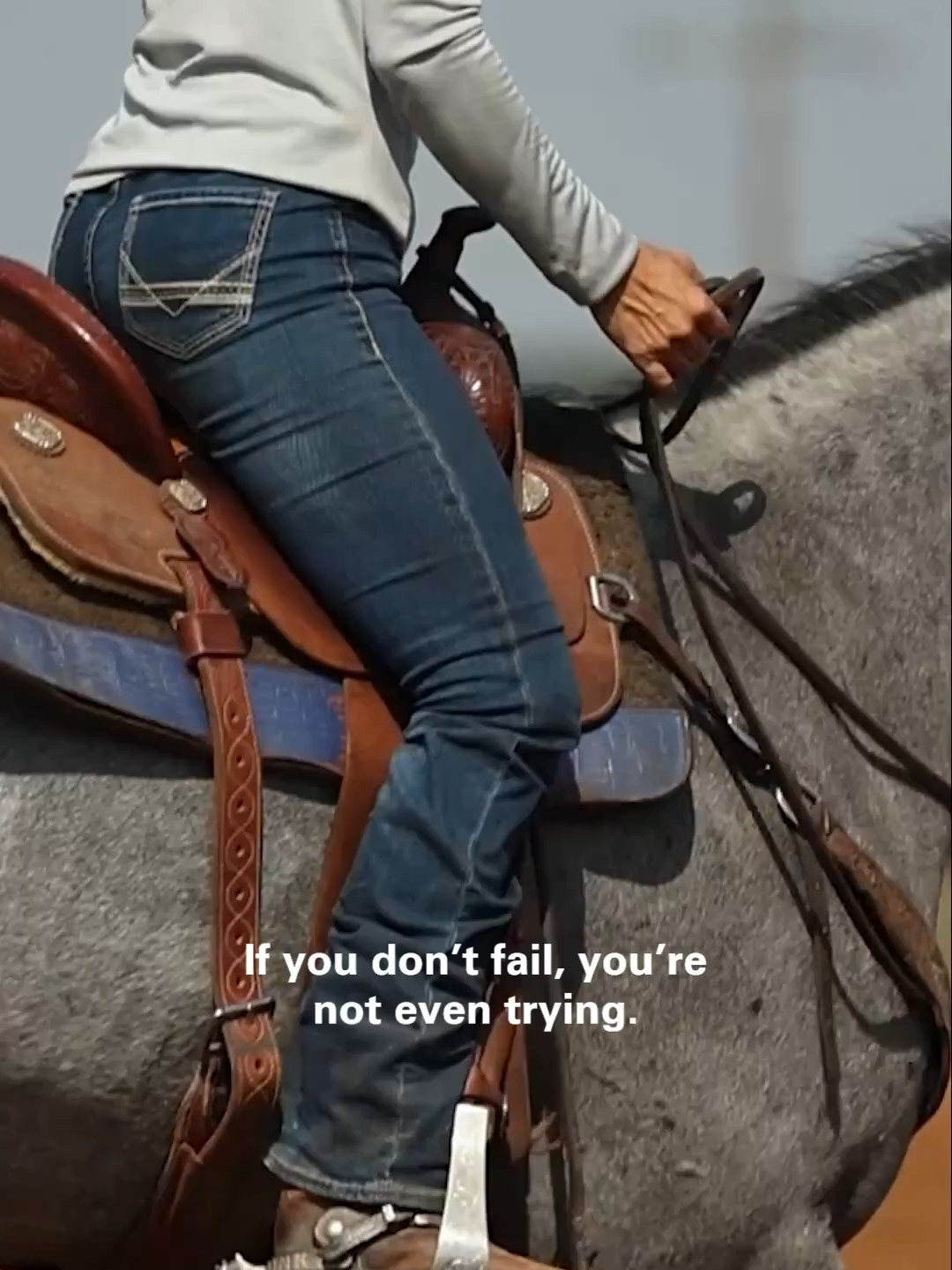 @Between The Reins