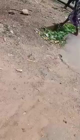 @generalmindnajia