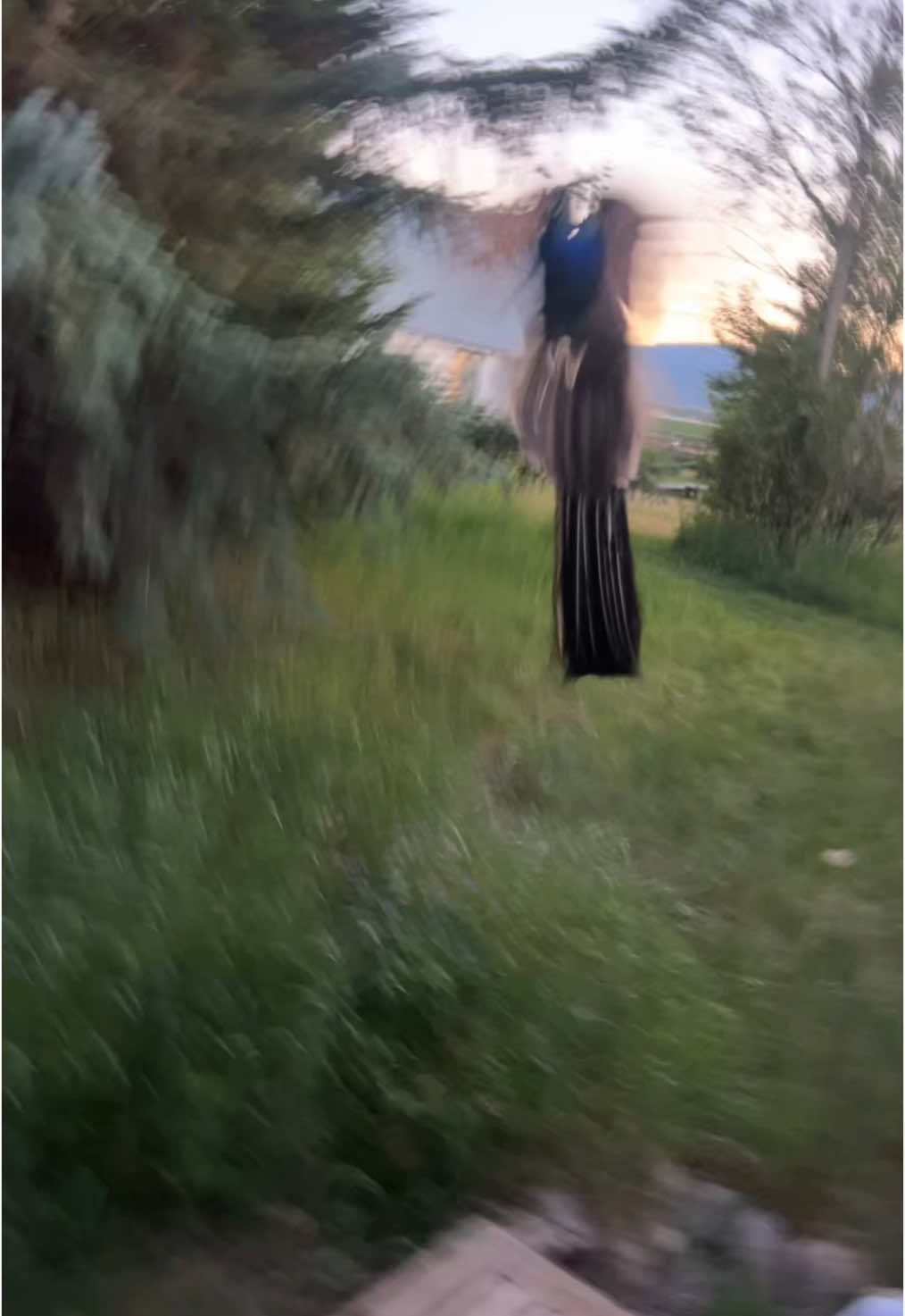 @lawlynnava