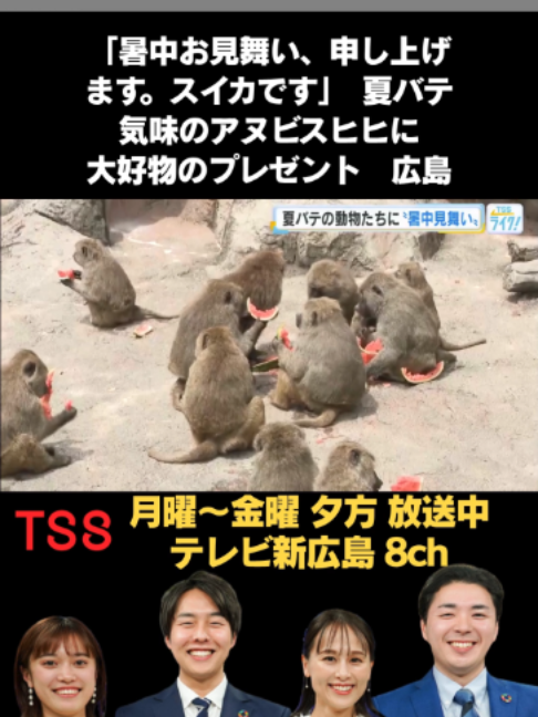 @テレビ新広島公式TikTok