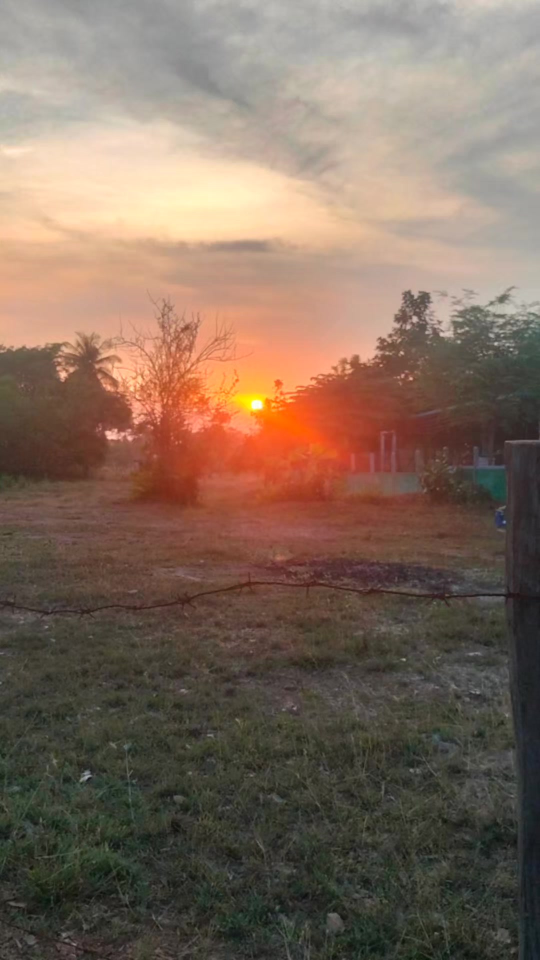 @Surasak Wongnet
