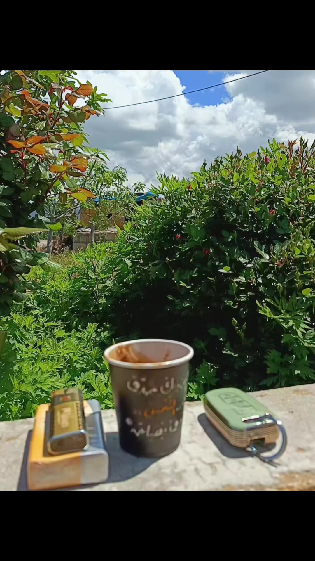 @𓆩𝟏𝟐:𝟎𝟎𓆪