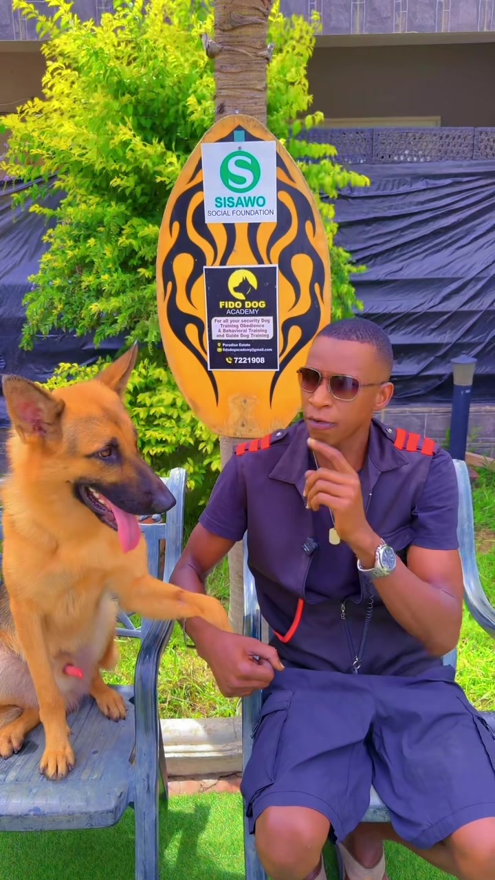 @Dog Master