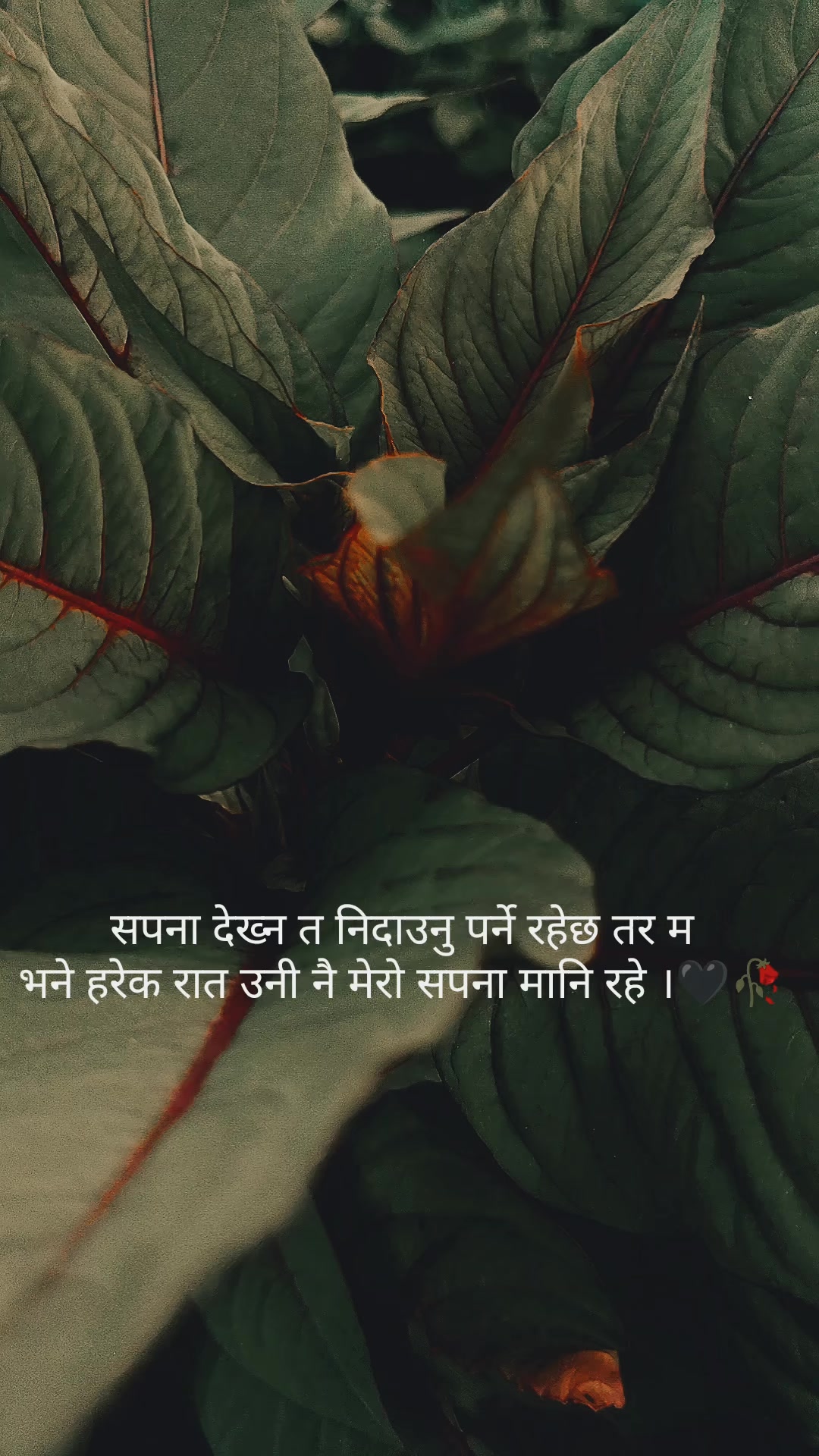 @LORD ASURA 🖤