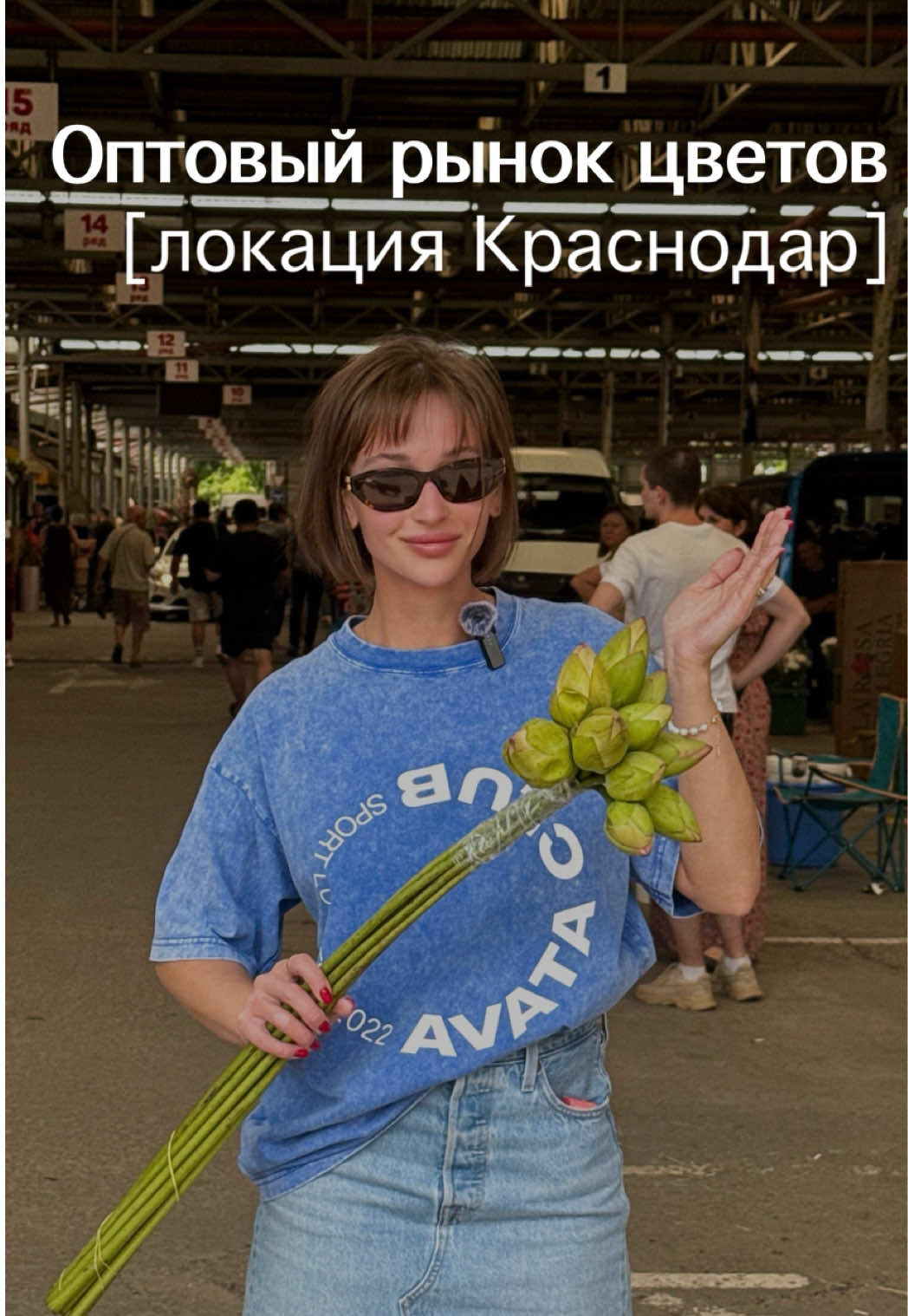 @Алиса о цветах
