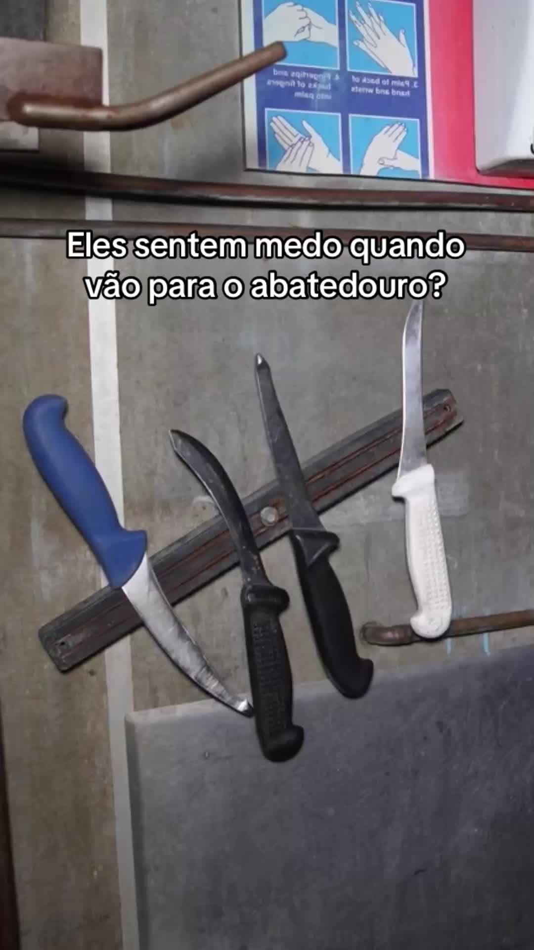 @Carne &eacute; cruel