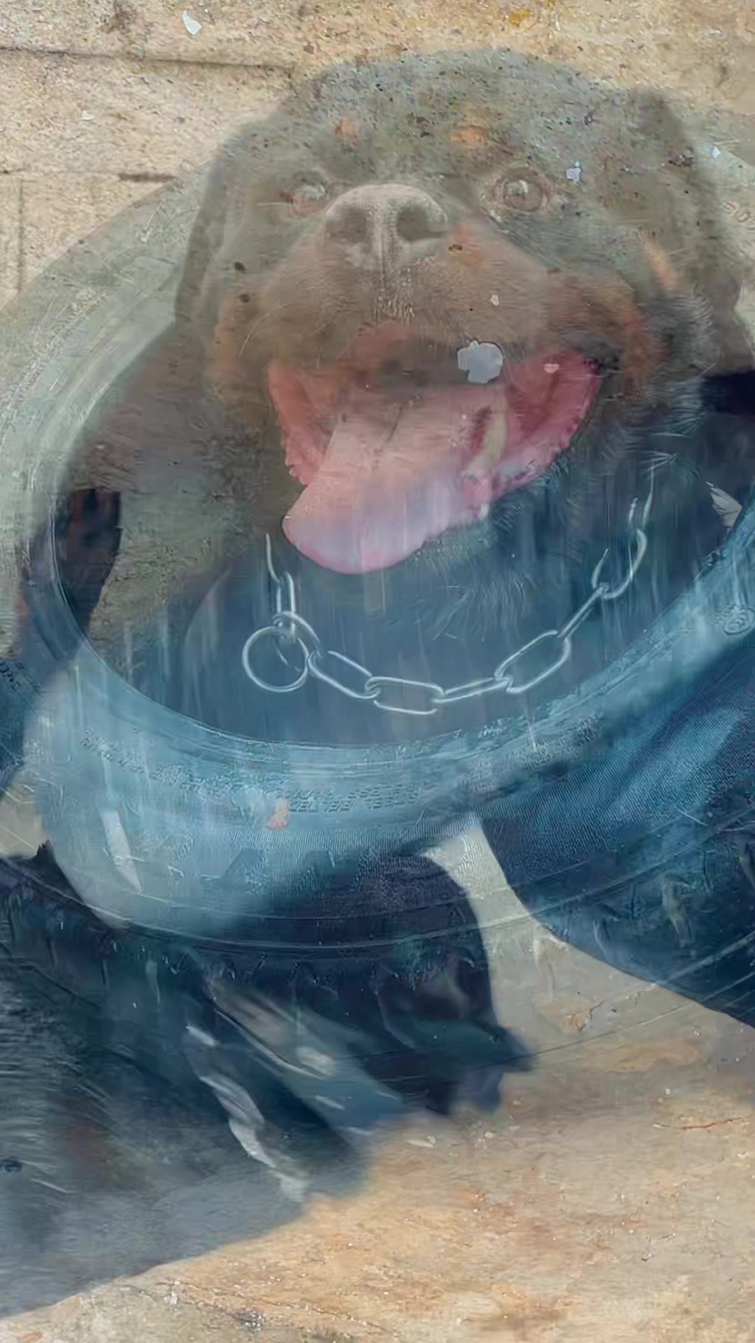 @ℒℴ𝓊𝒶𝒜𝓎 𝒵ℯ𝓇 🐺