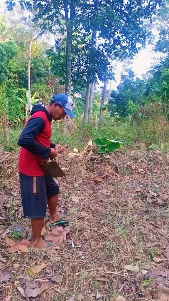 @Abang Ardio277