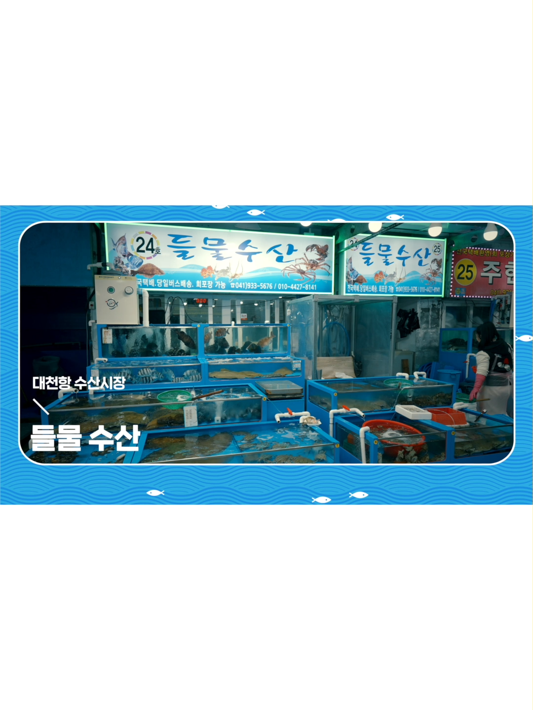 @대천항수산시장