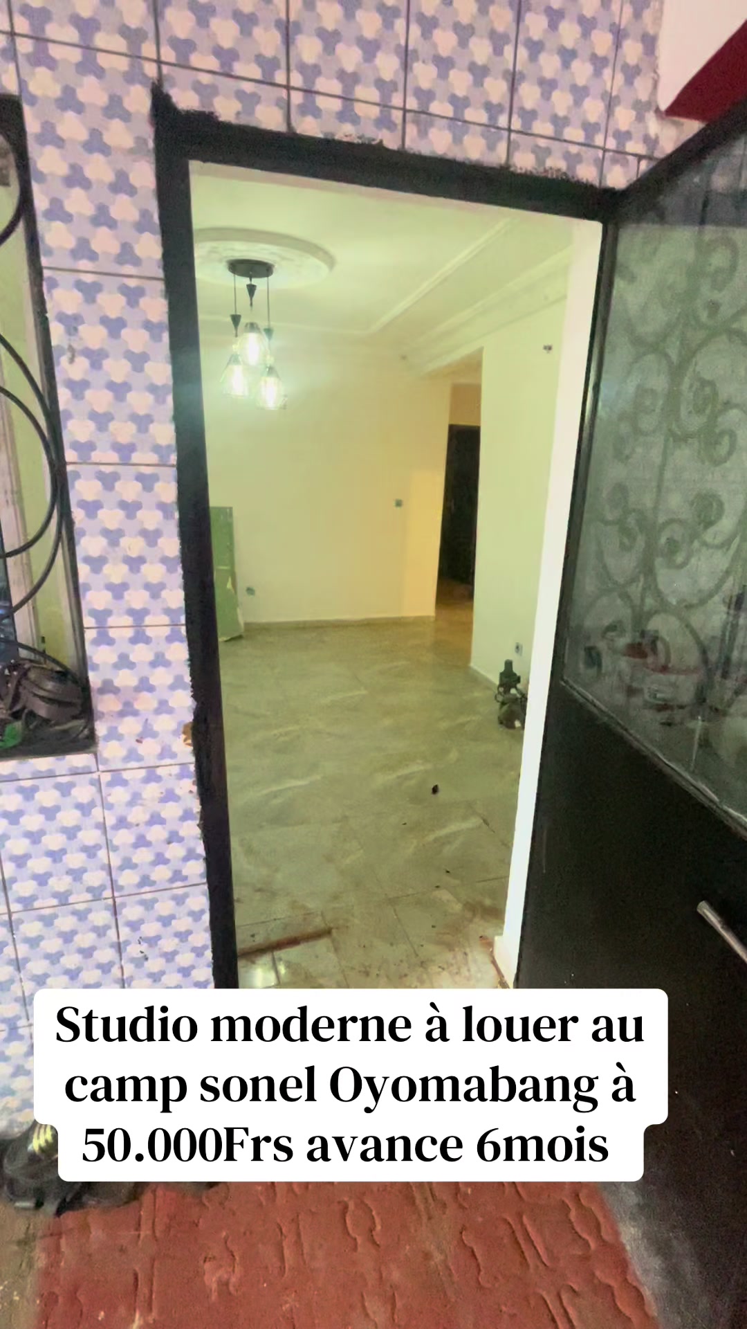 @DINO~IMMO~237🇨🇲🇨🇲