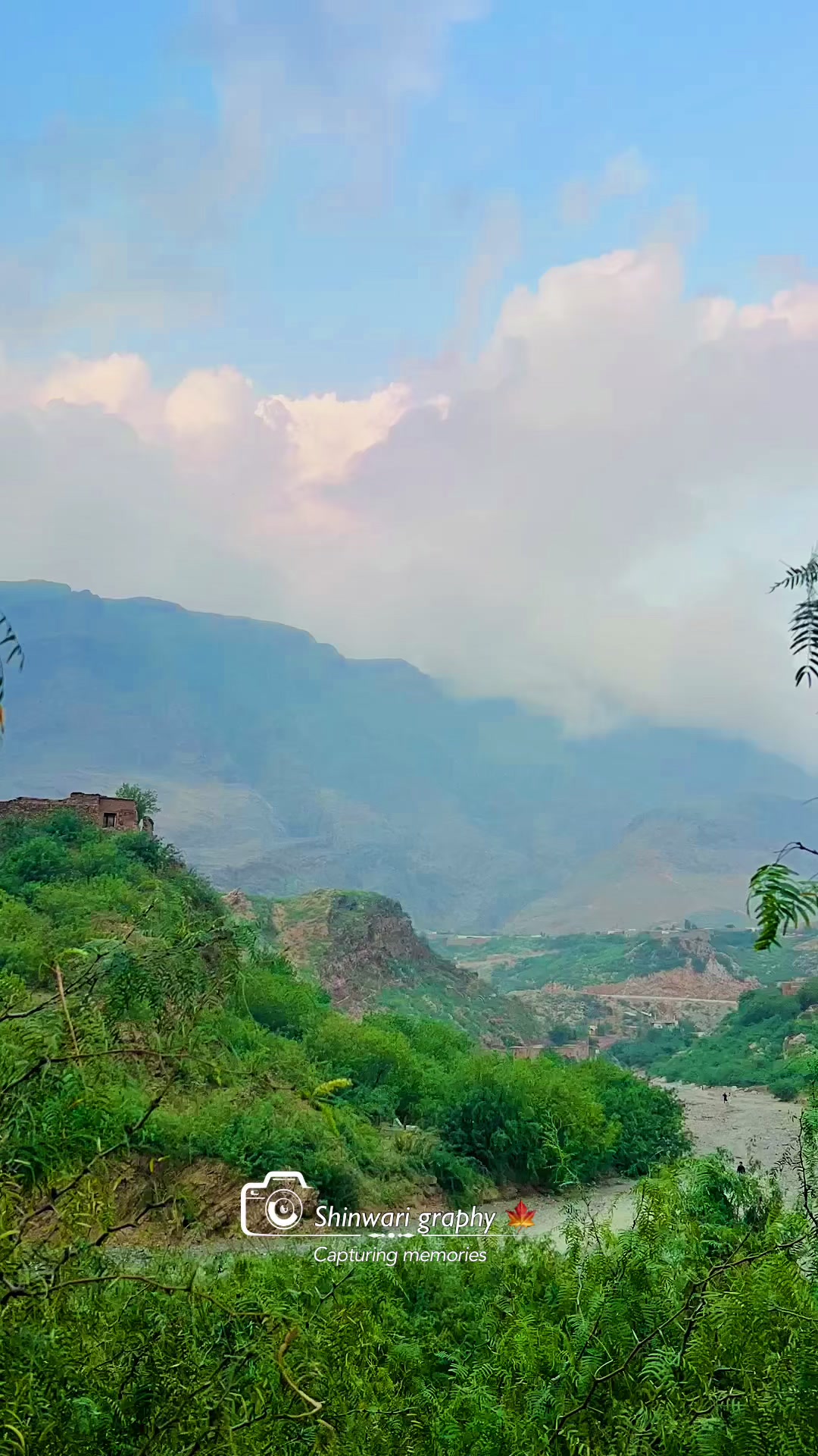 @Shinwari Graphy