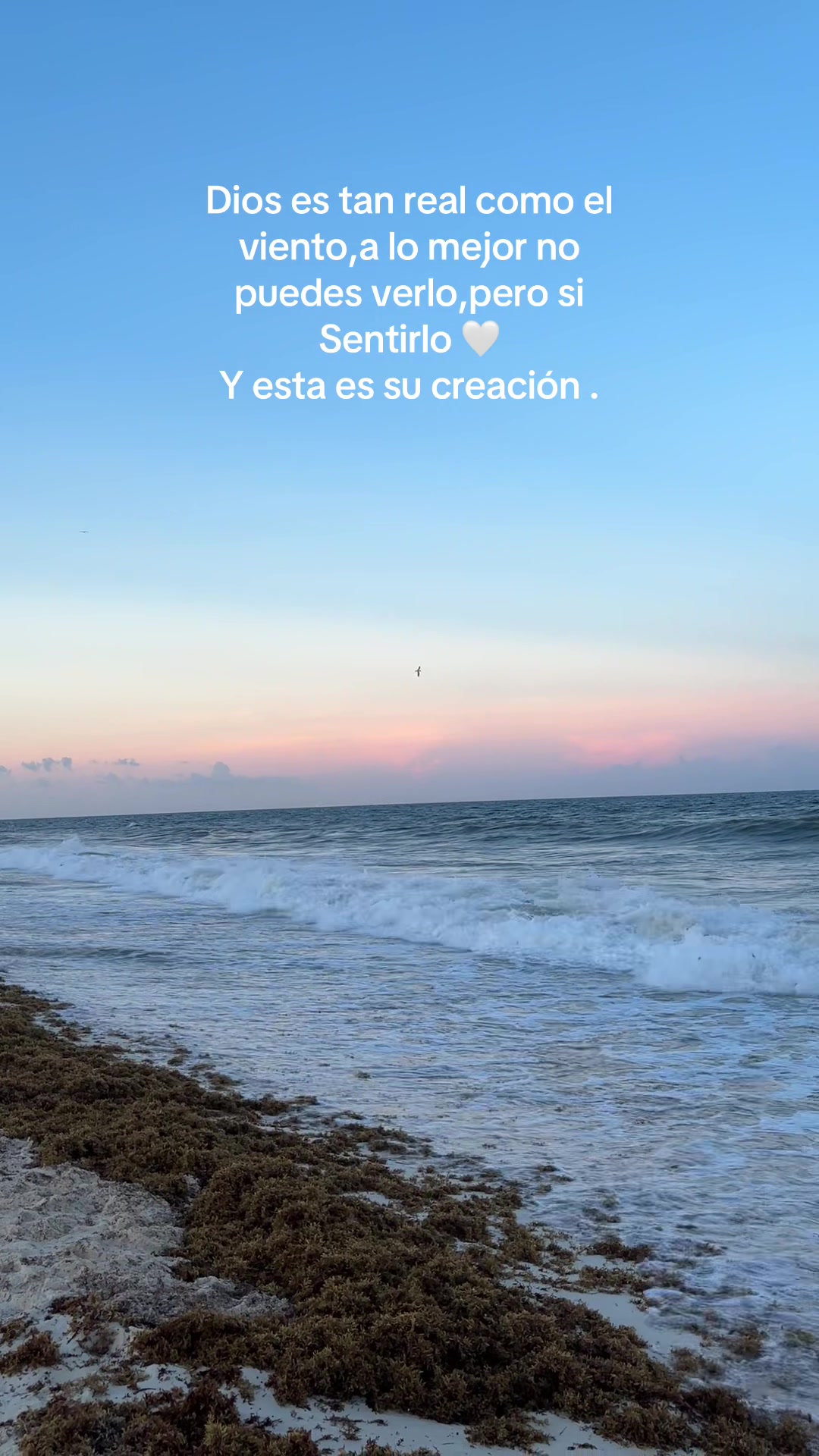 @🦋Loore Vazquez🦋