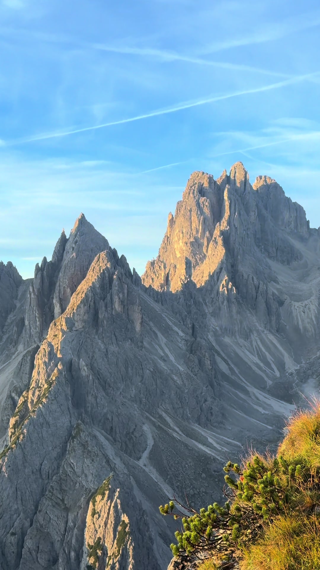 @swisskyline