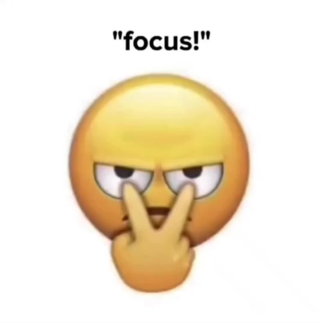 @The Muses System