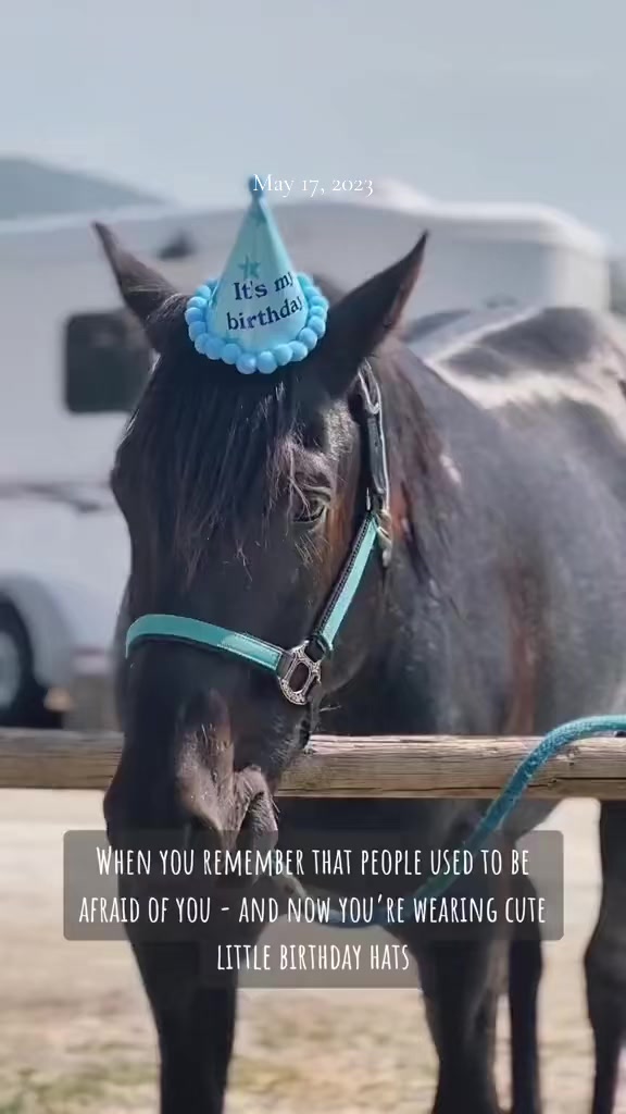 @Rudnik the Roan