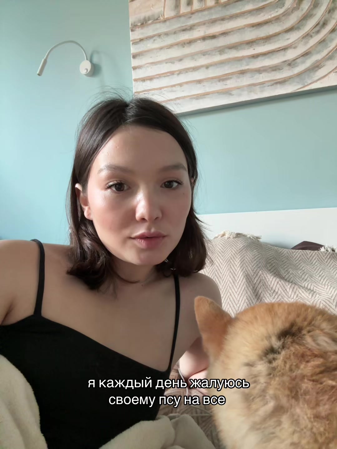 @агни мяу
