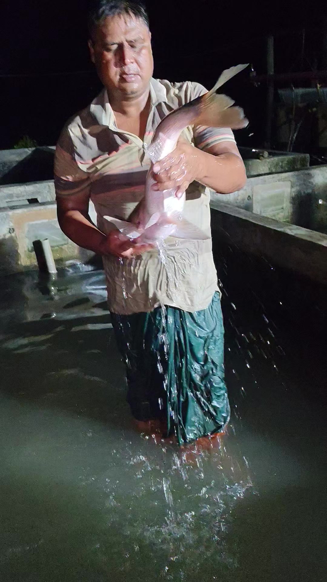 @Fish Lovers Bangladesh