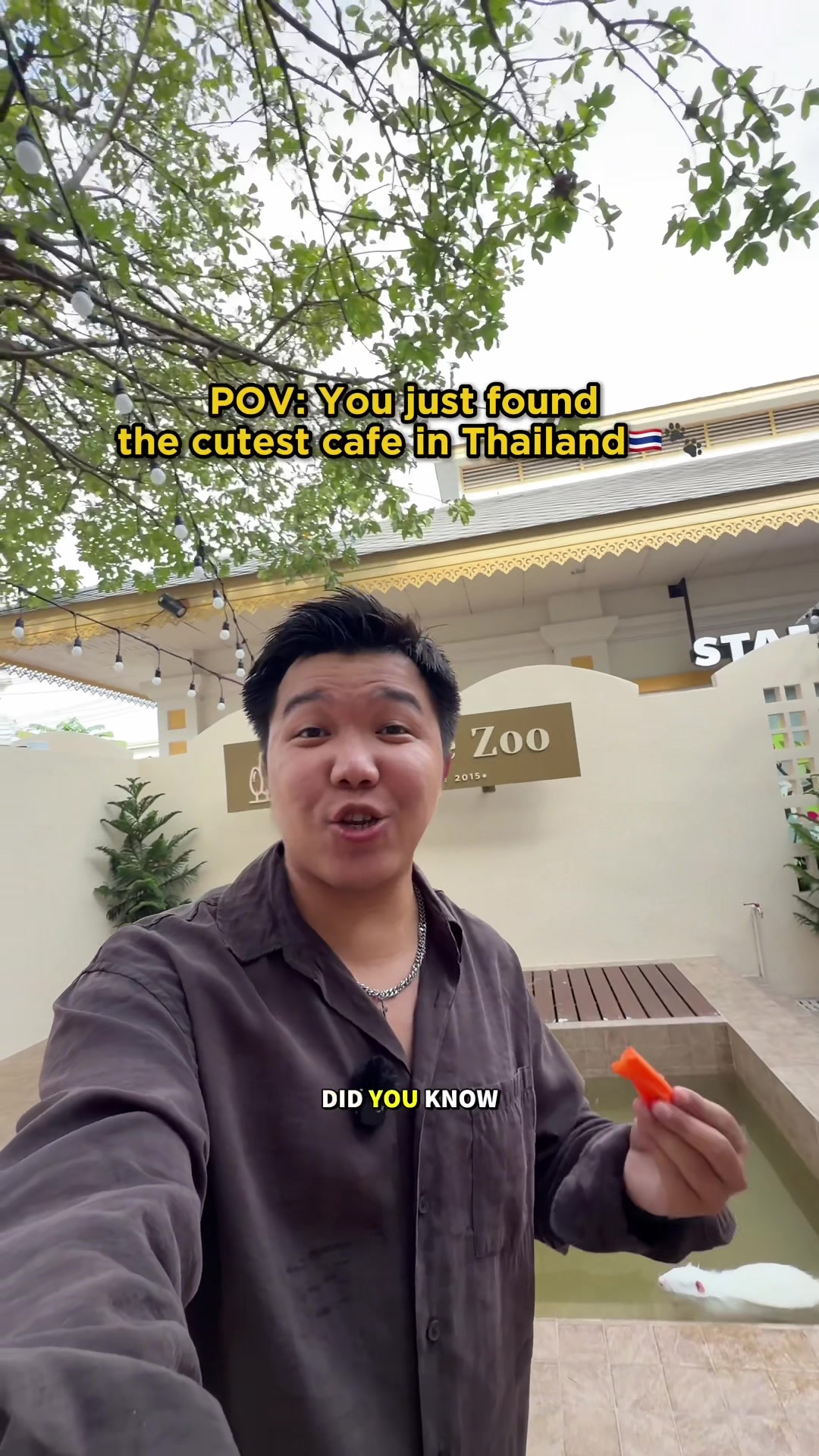 @Charlie🇹🇭🇯🇵
